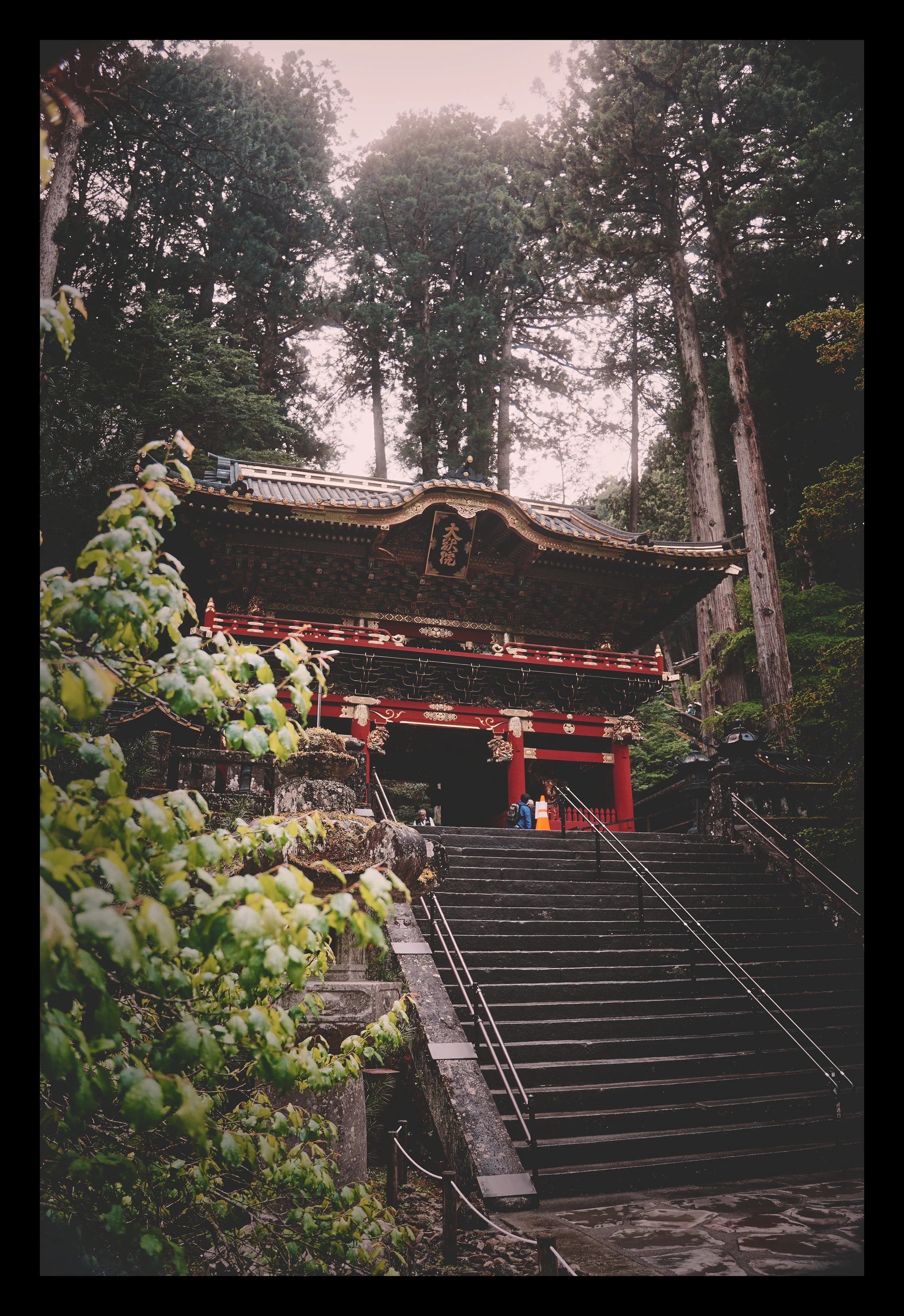 SNY00408 edit.jpg