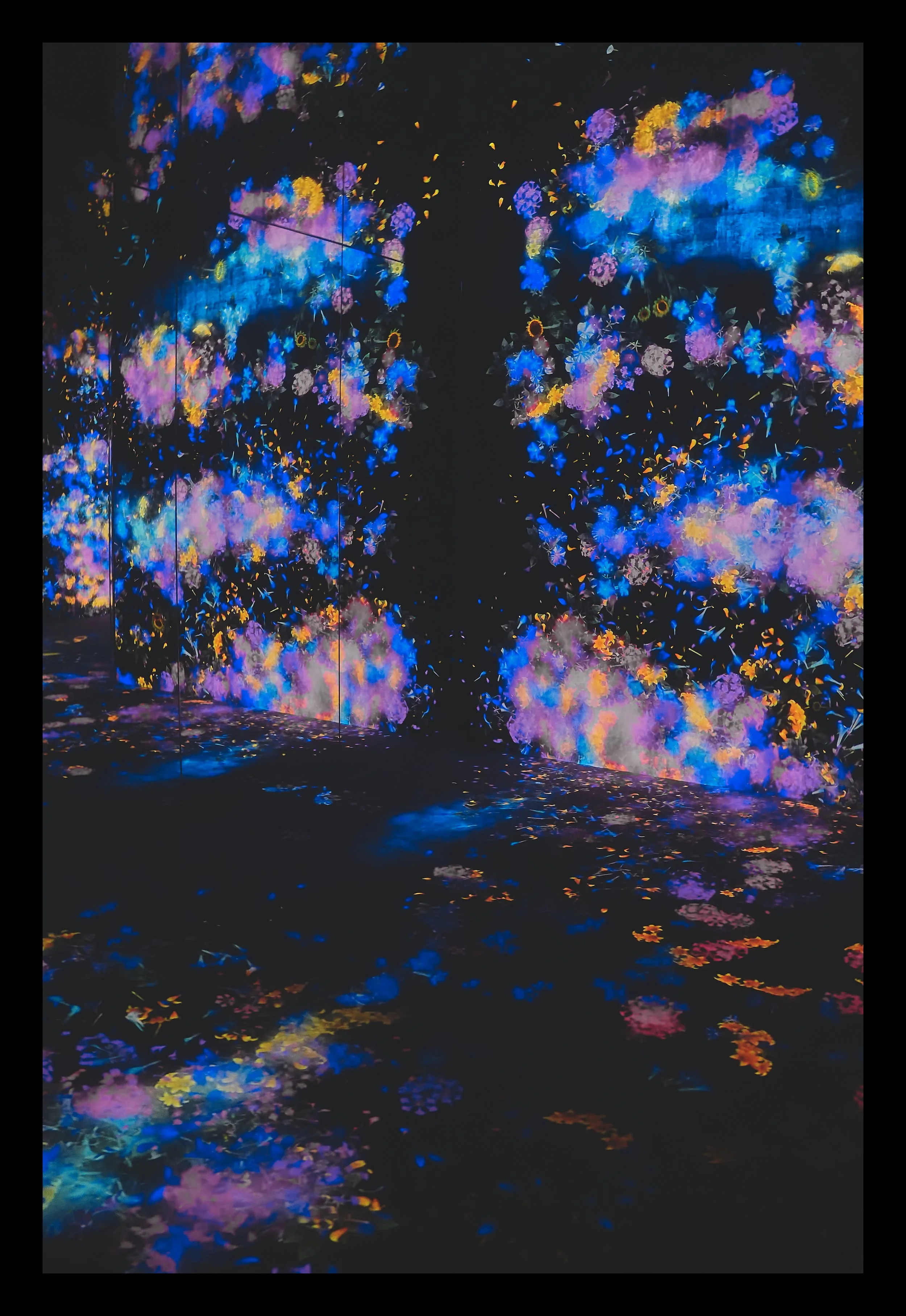 SNY00291 edit.jpg