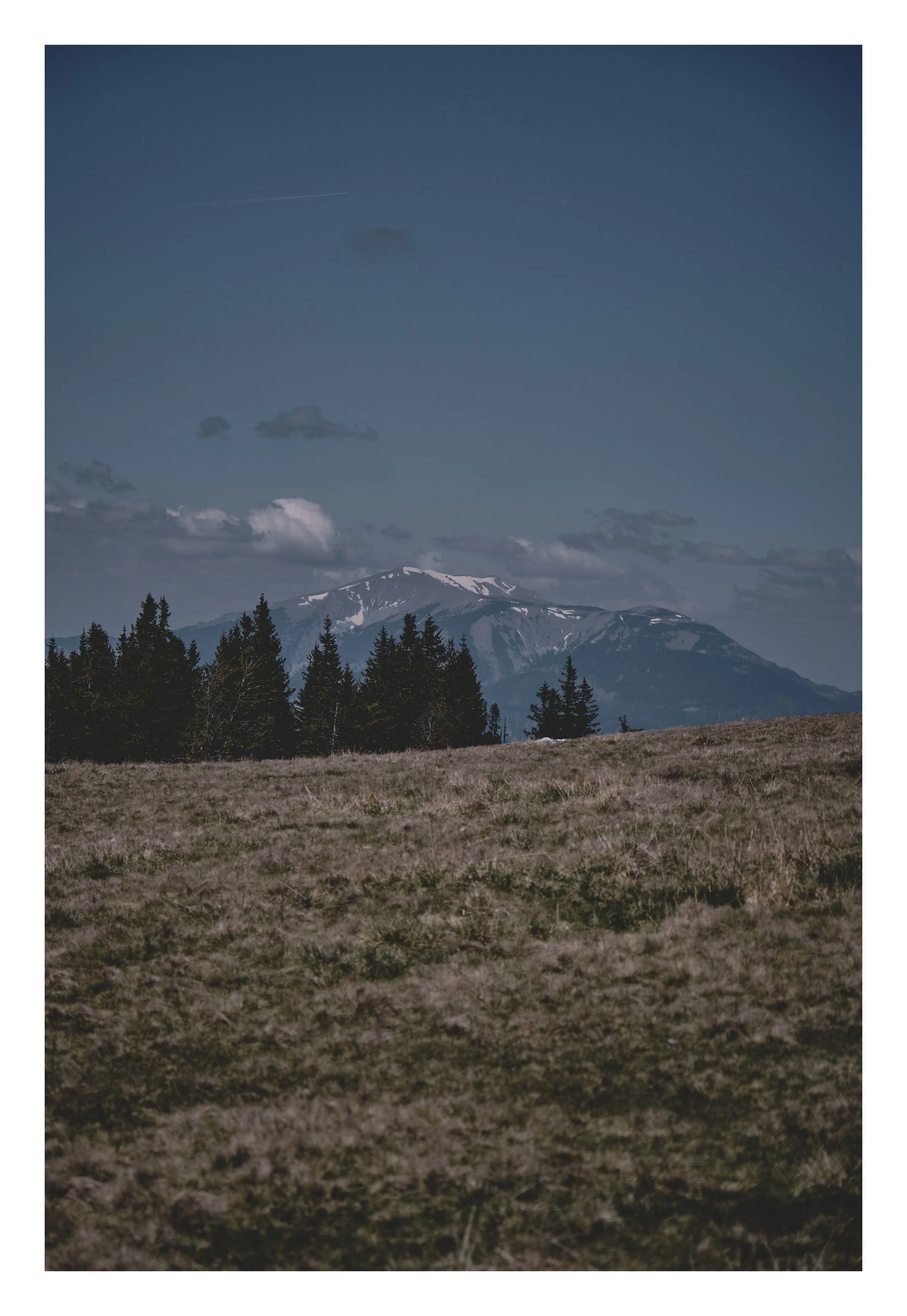 DSCF8414 edit25.jpg