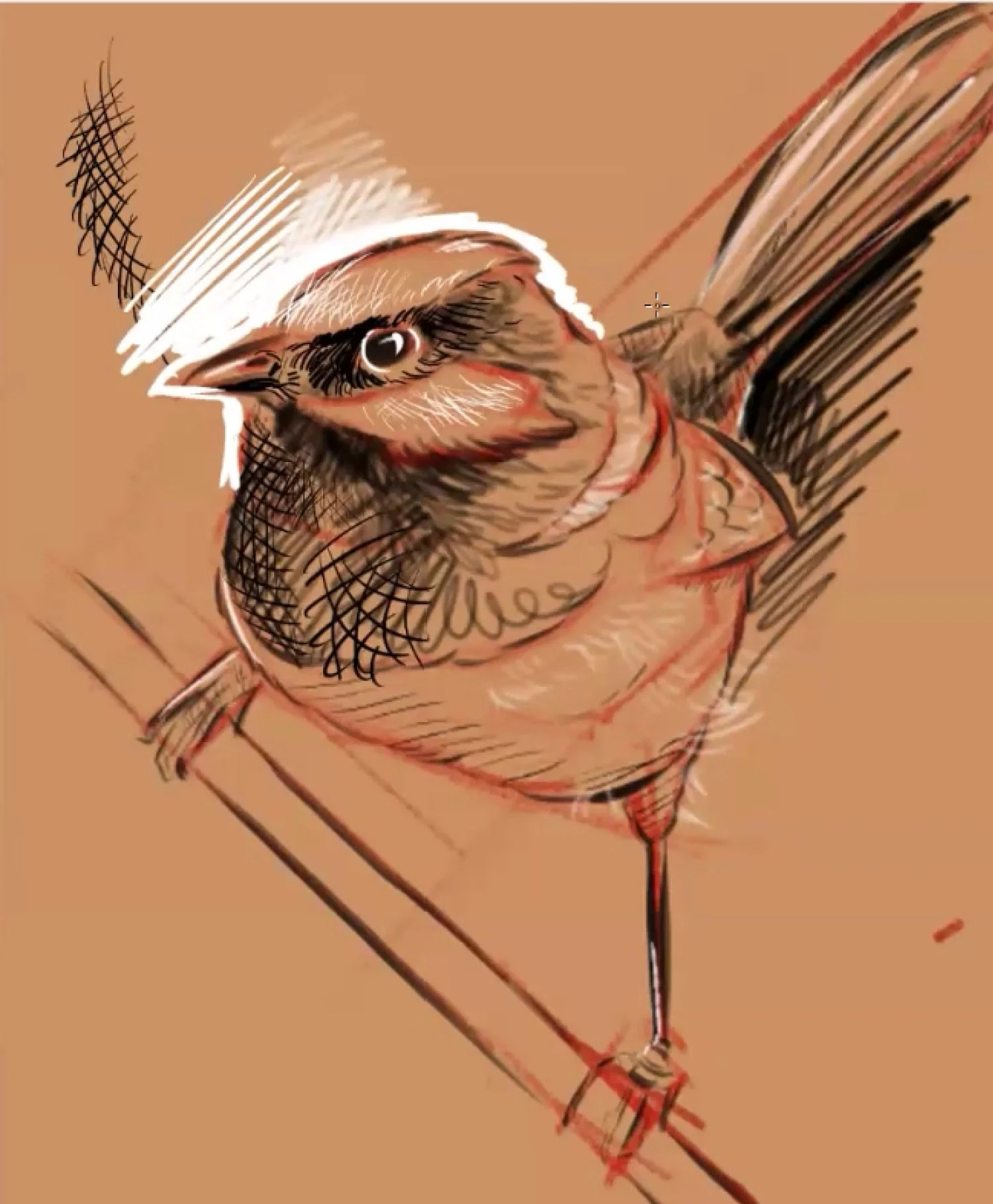 Illustration.jpg