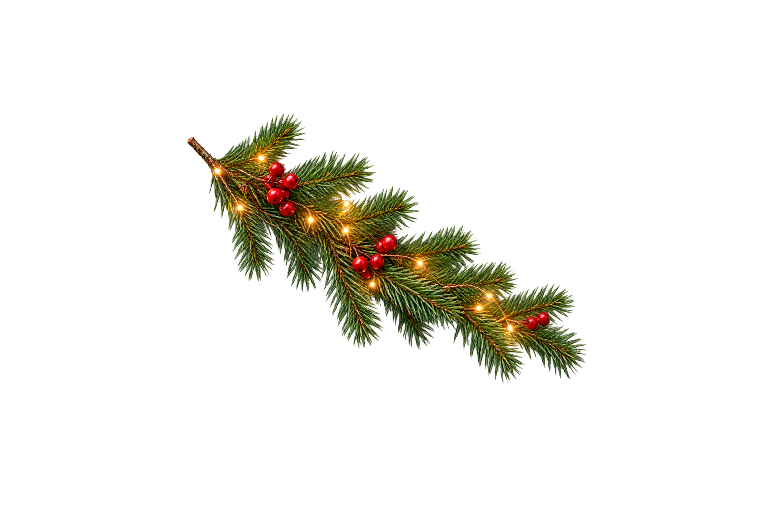 Christmas Durian Party - Green.png