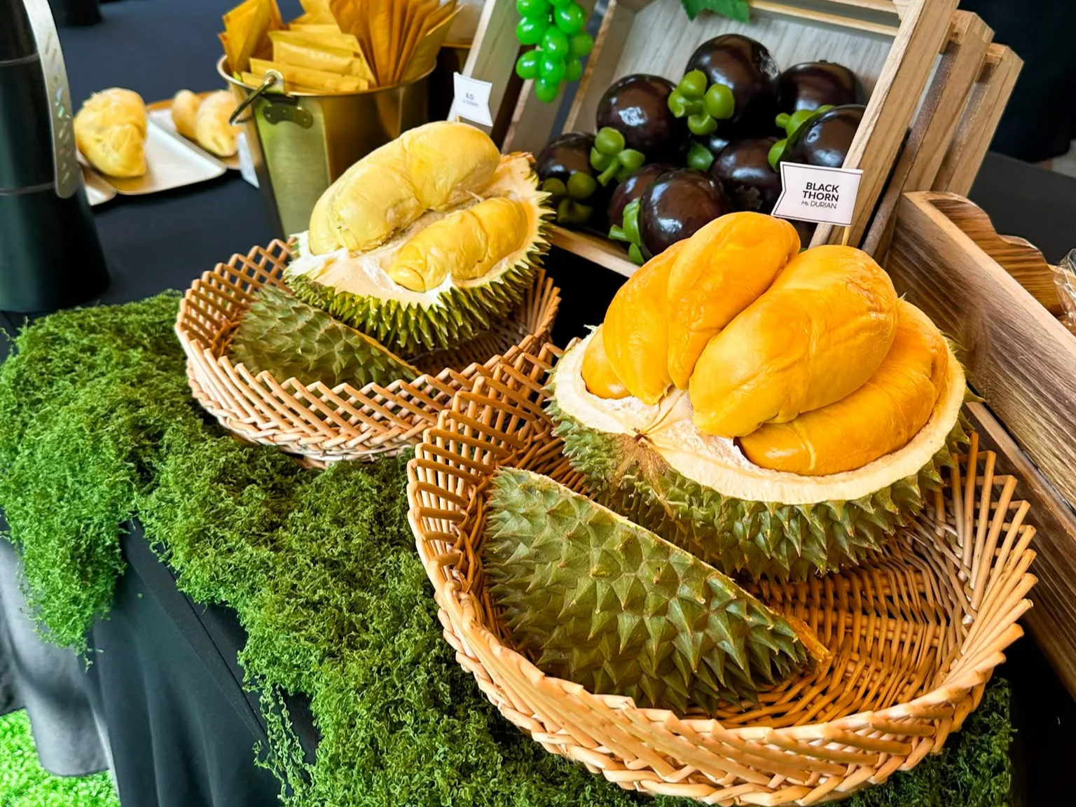 What Durian Types Can You Serve at a Durian Party in Singapore?