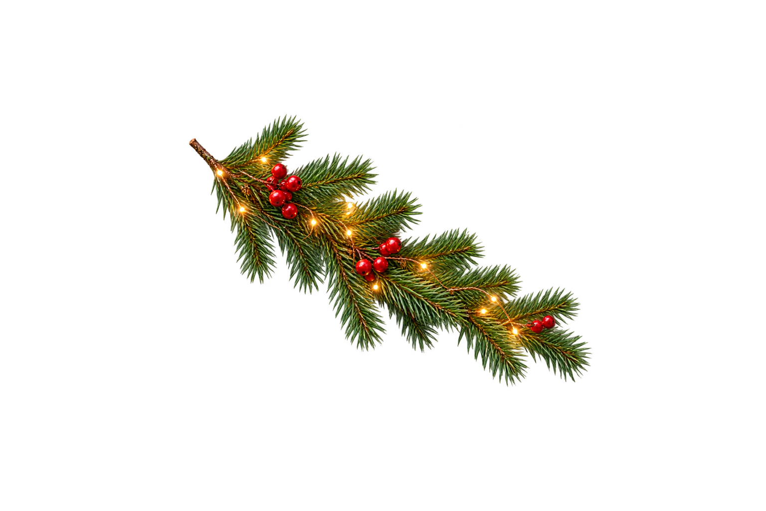 Christmas Durian Party - Green.png