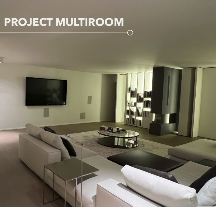 Multiroom project