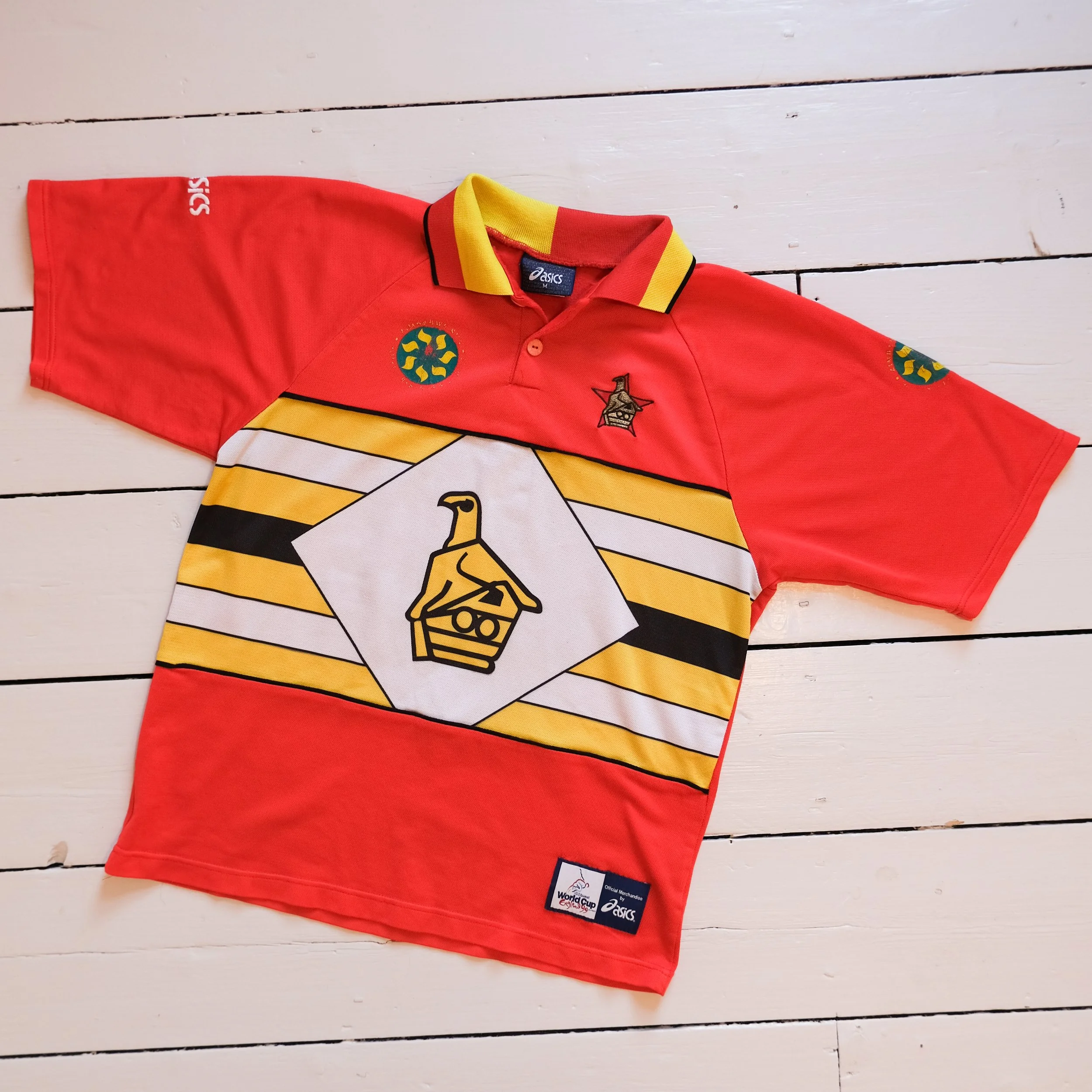 Zimbabwe World Cup 1999