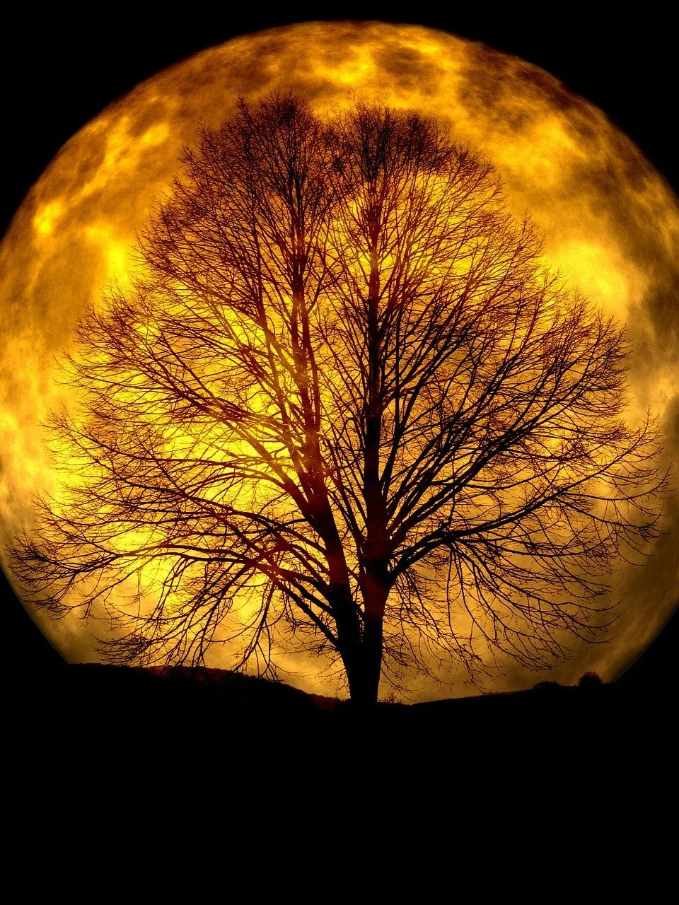 Moonshift