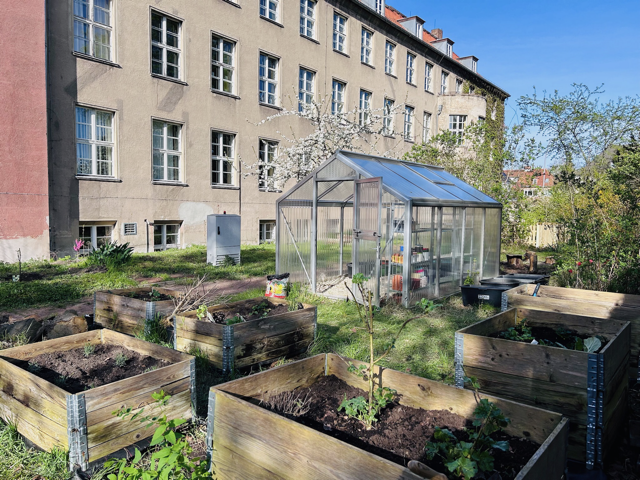 Schulgarten_Hochbeete-Gewächshaus_nachher).png