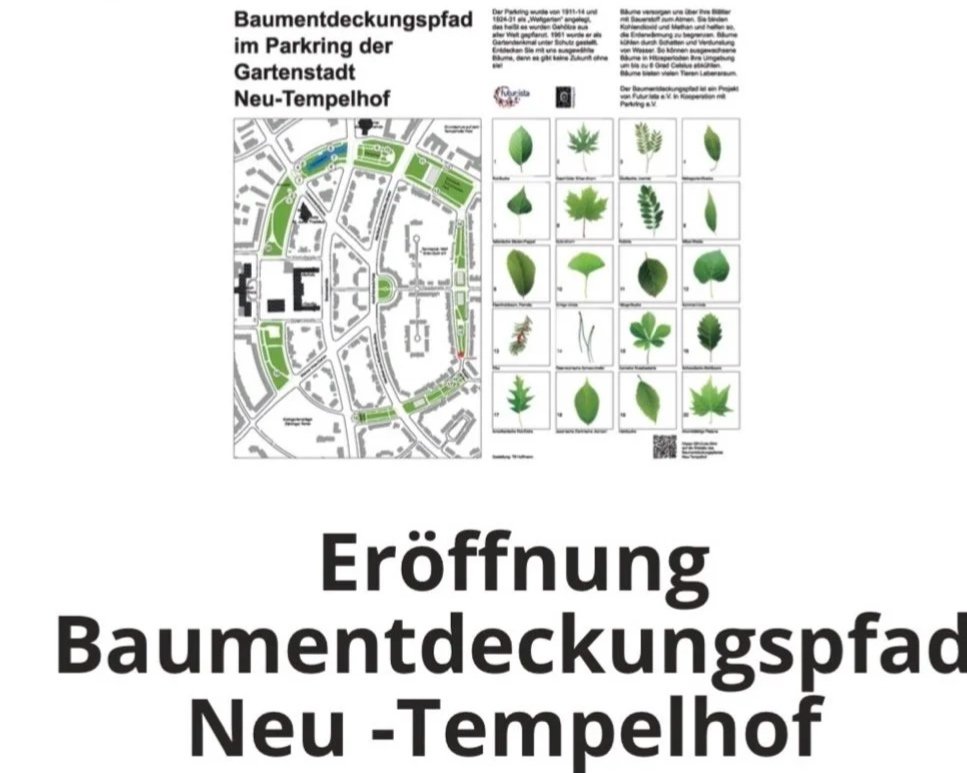 Eröffnung des Baumentdeckungspfad