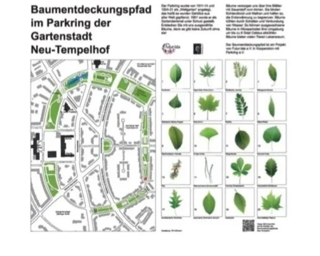 Baumentdeckungspfad im Parkring - die Tempelherren-Grundschule ist dabei! 