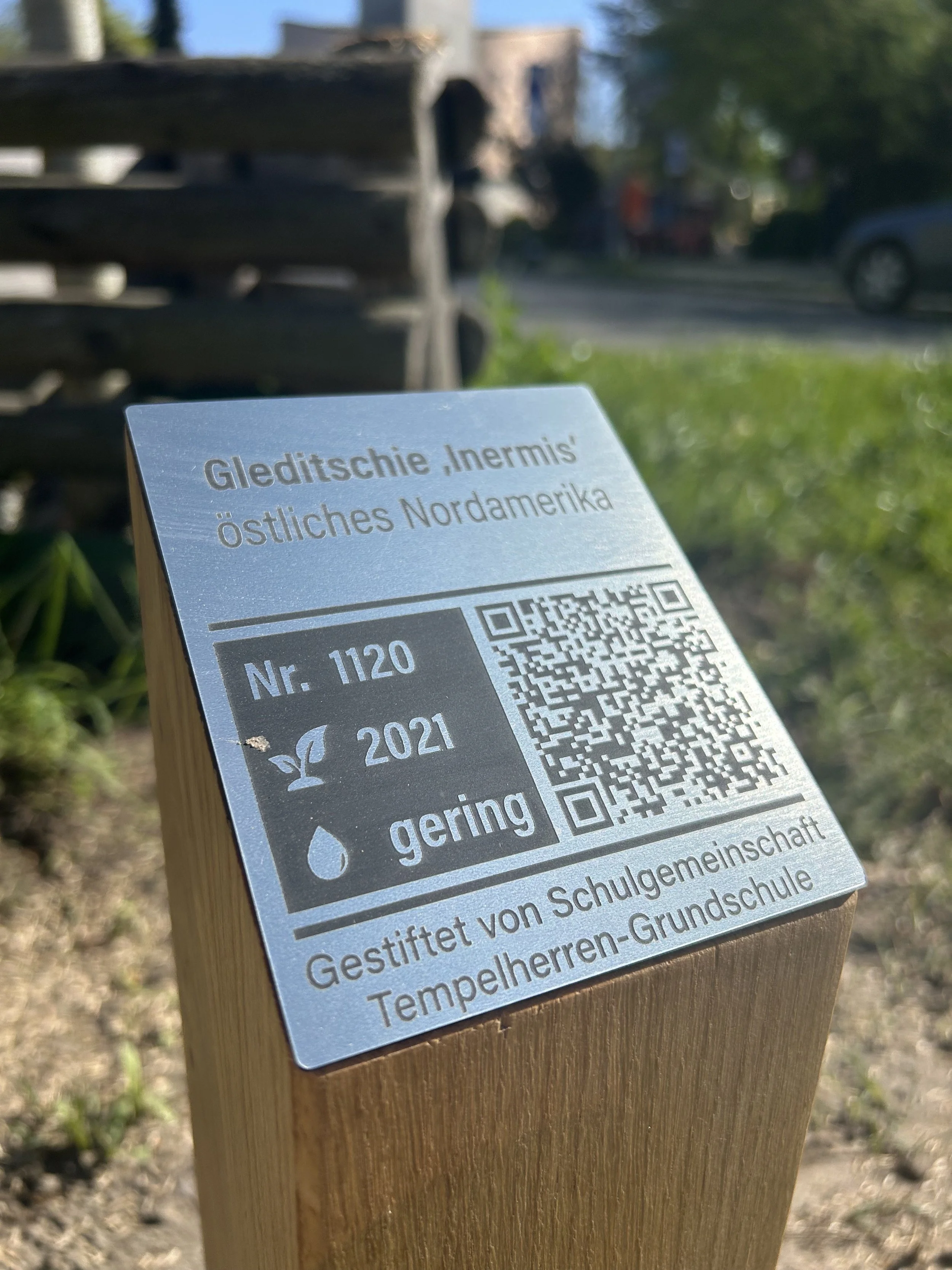 Unsere Schulgemeinschaft hat eine Baumstelenpatenschaft übernommen.