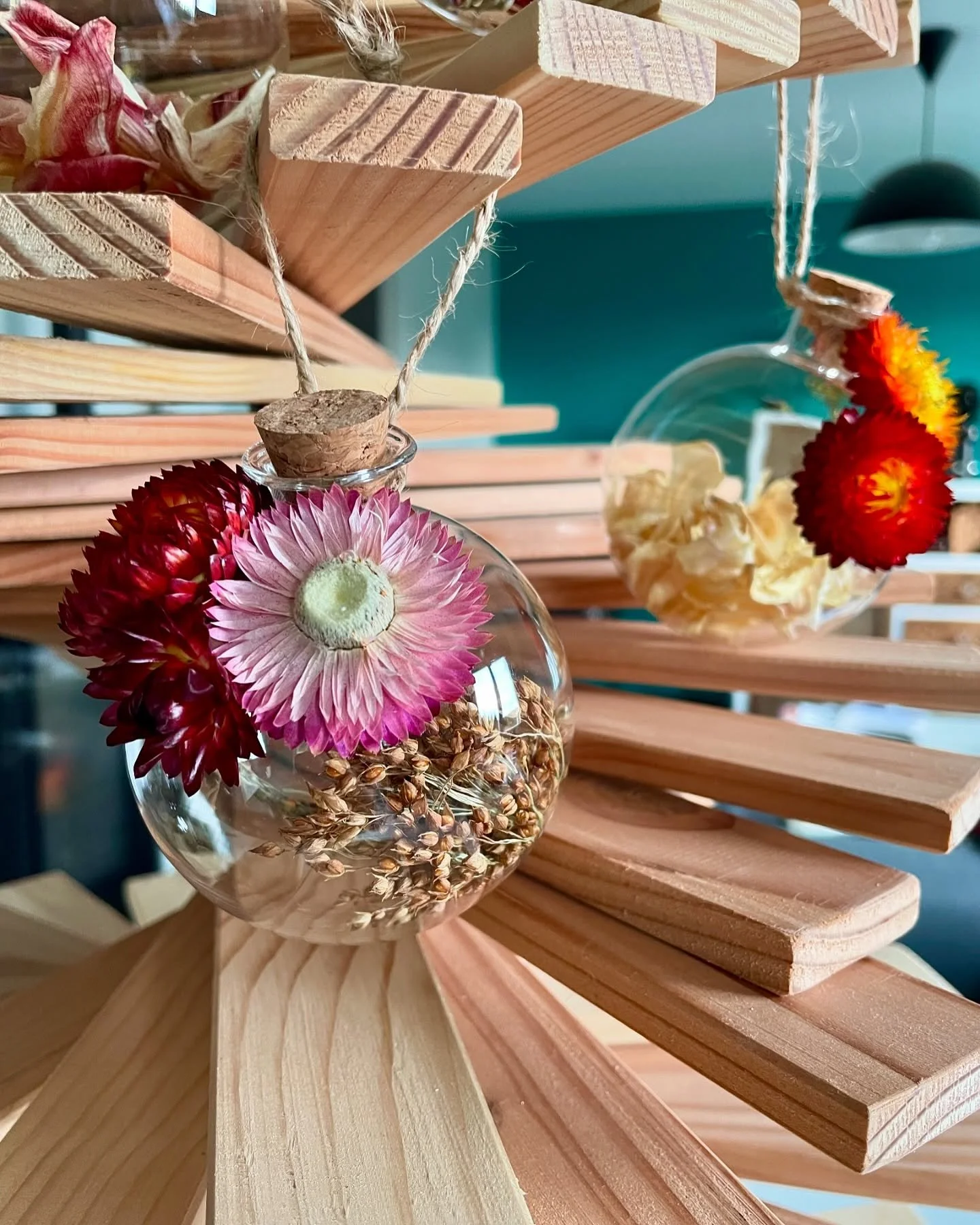 🎄 Boules de No&euml;l fleuries 🎄
🌷 COLLECTION  R&Eacute;TRO 🌷
Le rouge profond m&ecirc;l&eacute; de nuances d&rsquo;orange sanguine et le rose pourpre nous rappellent les seventies et leur style r&eacute;tro, des couleurs qui viendront r&eacute;c