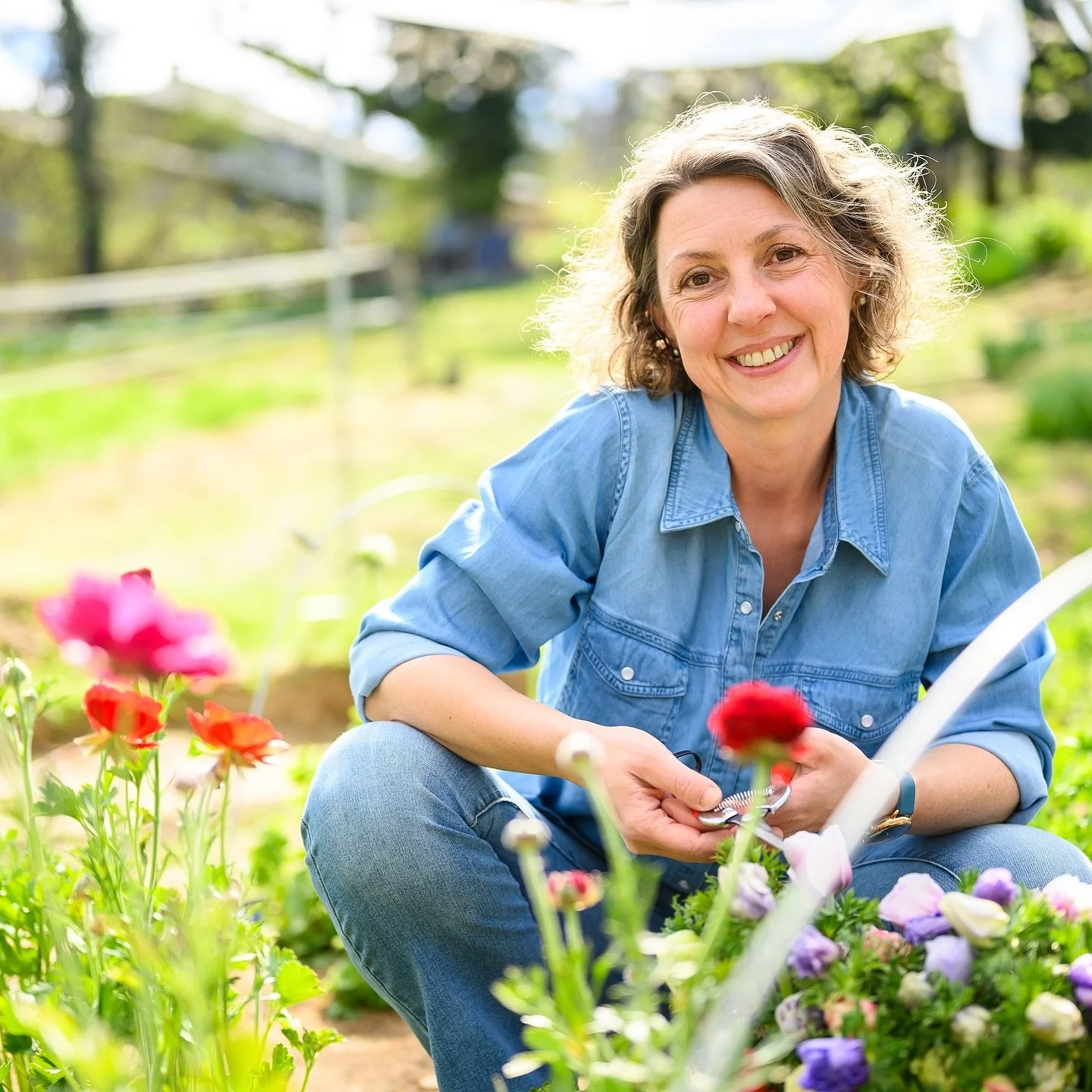 Ce weekend retrouvez-moi au march&eacute; de No&euml;l de SAINT FLOUR ~ vendredi de 14h &agrave; 20h, samedi de 10h &agrave; 19h et dimanche de 10h &agrave; 17h @ville.saint.flour 
.
Boules de No&euml;l fleuries, bouquets secs color&eacute;s, couronn