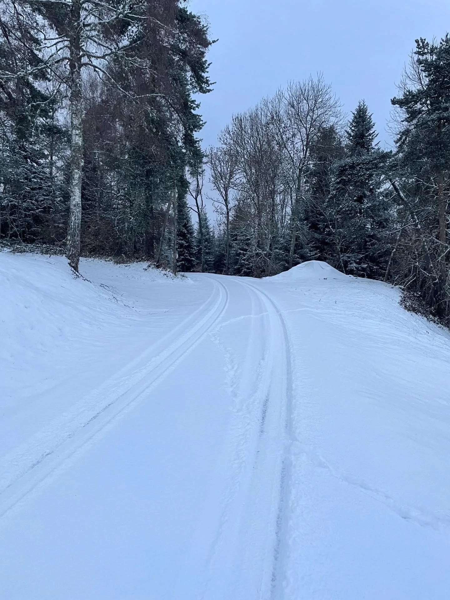 Un l&eacute;ger manteau blanc a recouvert les jardins cet apr&egrave;s-midi&hellip; ⛄️