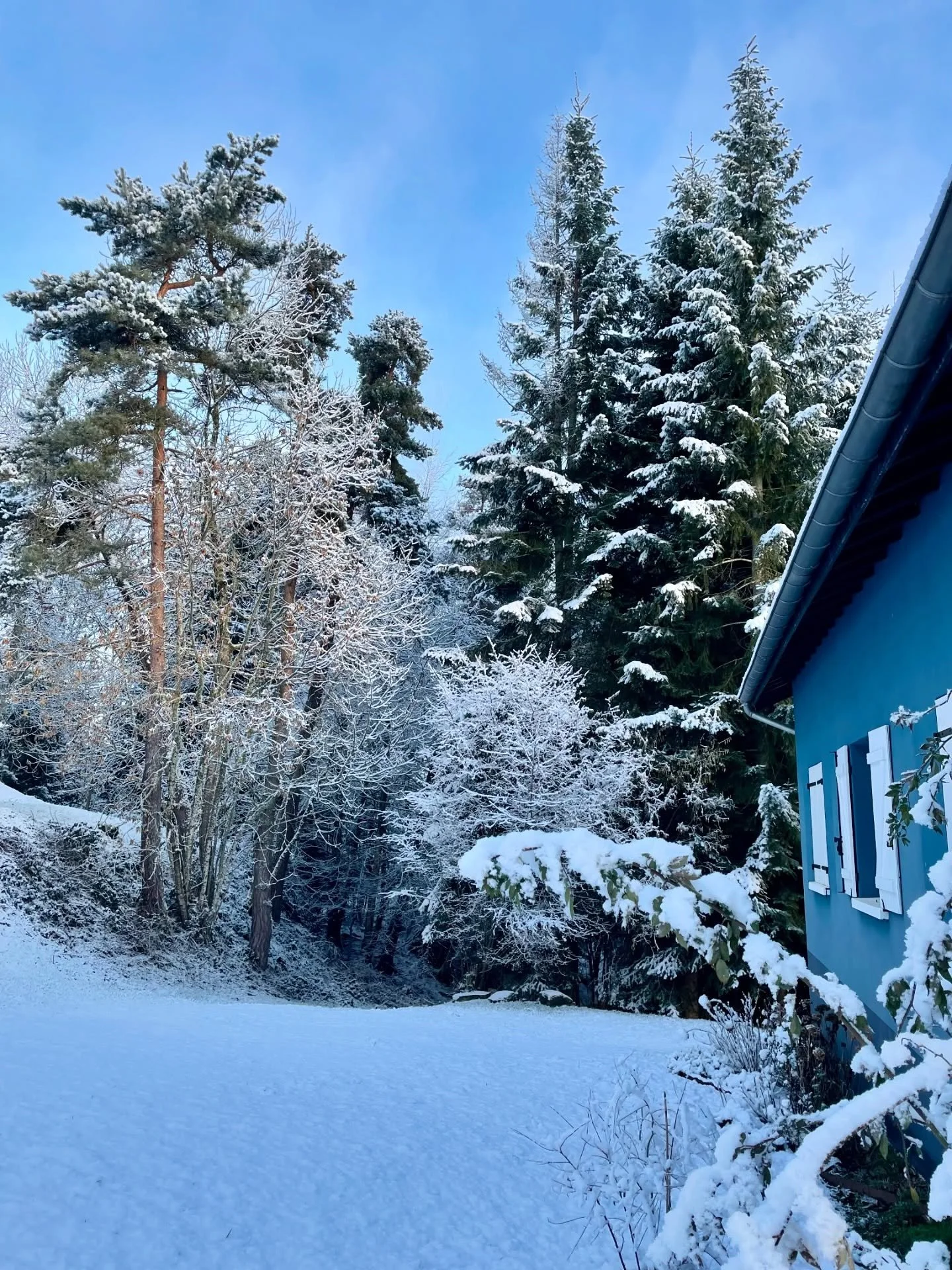 Sous ce joli manteau blanc, les fleurs de printemps se pr&eacute;parent &agrave; exploser de couleurs dans quelques semaines seulement ! 
.
La balayette &eacute;tait &agrave; nouveau de sortie ce matin pour retirer la neige de la nuit des tunnels, ce