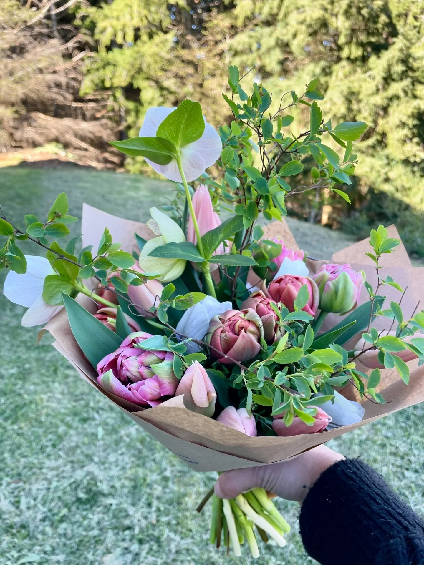 Commande/r&eacute;servations de vos bouquets mixtes (tulipes/an&eacute;mones) au 0609860497 ou par message.
Les tulipes c&rsquo;est cette semaine et la semaine prochaine, profitez-en ! Tenue 7 &agrave; 10 jours en vase. 
.
.
.
#tulipes #fleurslocales