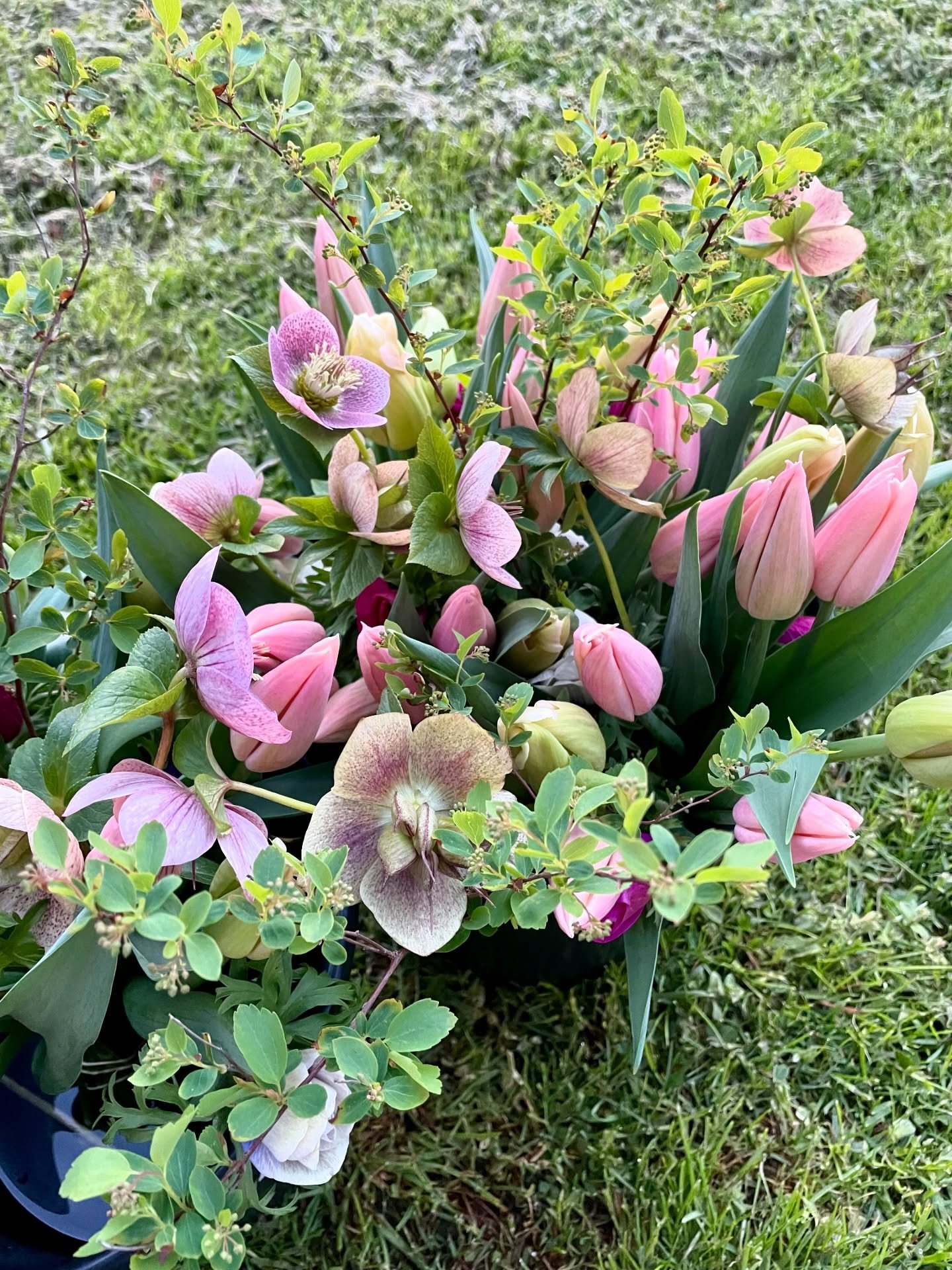 ✨ TULIPES, AN&Eacute;MONES, RENONCULES, HELL&Eacute;BORES ✨
Des fleurs cultiv&eacute;es ici, &agrave; Saint-Bonnet-le-Bourg, de mani&egrave;re &eacute;co-responsable. Je pr&eacute;pare vos bouquets sur commande au 0609860497 ou par message. 
Mes fleu