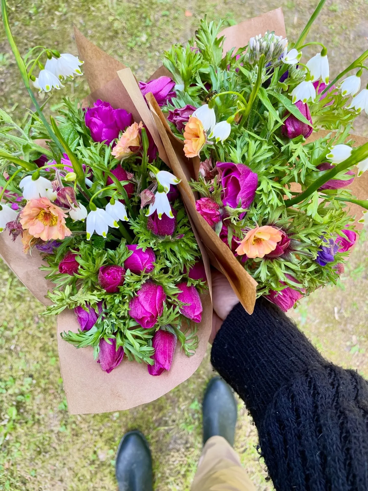 ✨ PETITS BOUQUETS ✨
An&eacute;mones m&ecirc;l&eacute;es de petits tr&eacute;sors, 20 &euro;. 
Commande/r&eacute;servations au 0609860497 ou par sms. 
.
.
.
#fleurslocales #fleurslocalesetdesaison #producteurdefleurs #parclivradoisforez #auvergne