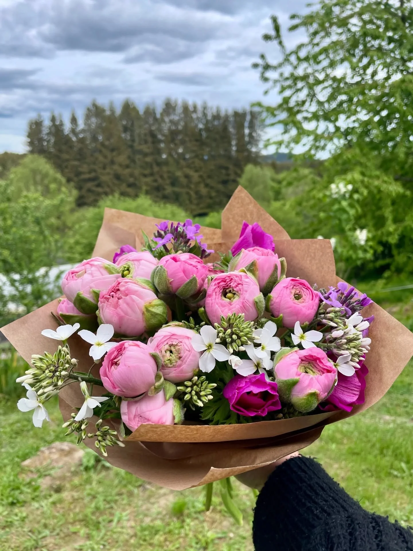 ✨ PROMO BOUQUETS MIXTES DE RENONCULES ✨
25 &euro; le bouquet mixte !
0609860497
.
.
.
#fleurslocales #fleurslocalesetdesaison #renoncules #livradois #auvergne