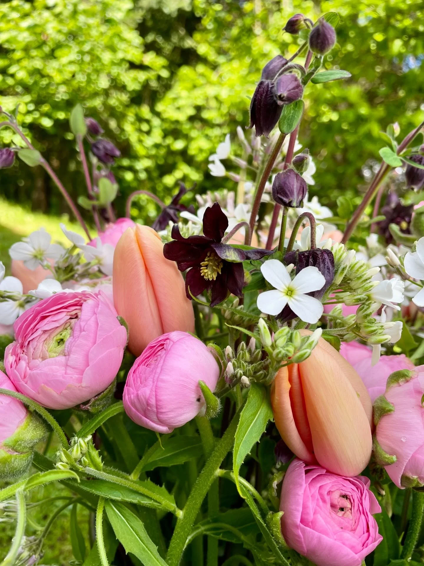✨ MARCH&Eacute; JARDIN POUR LA TERRE ✨
C&rsquo;est demain &agrave; Arlanc &agrave; partir de 14h ! La m&eacute;t&eacute;o ne sera s&ucirc;rement pas au top, mais nous serons l&agrave; de 14h &agrave; 19h, artisans et producteurs, pour vous accueillir