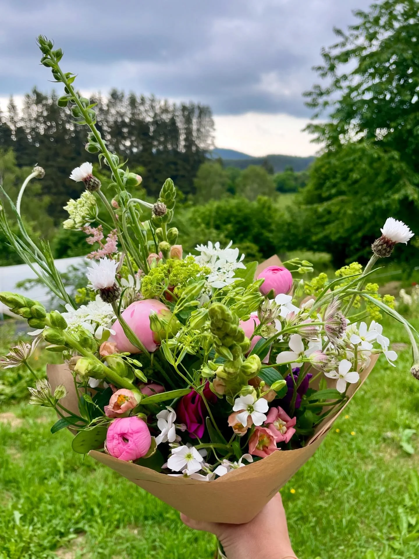 ✨ MERCI ✨
Merci &agrave; tous.tes pour vos commandes de bouquets ce week-end, et aux fleuristes qui ont propos&eacute; des Fleurs de la Maison Bleue dans leurs belles compositions (et d&eacute;sol&eacute;e de n&rsquo;avoir pu fournir tout le monde&he