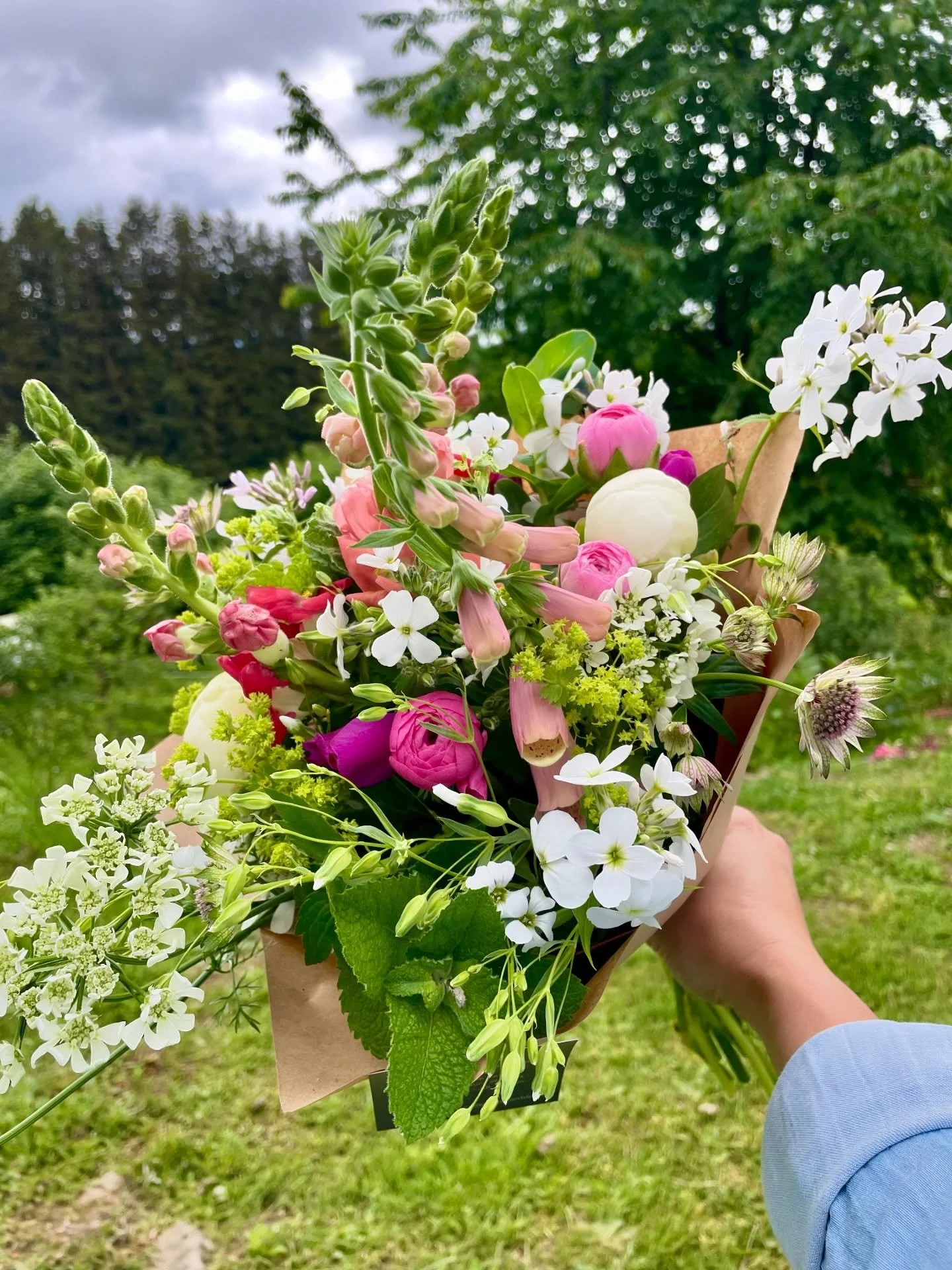 ✨ F&Ecirc;TE DES PLANTES ET DE LA FOR&Ecirc;T ✨
Dimanche 7 juin &agrave; Saint Germain l&rsquo;Herm (&agrave; la salle polyvalente) retrouvez-moi ainsi que plein d&rsquo;autres producteurs &agrave; partir de 10h pour faire le plein de bonnes et belle