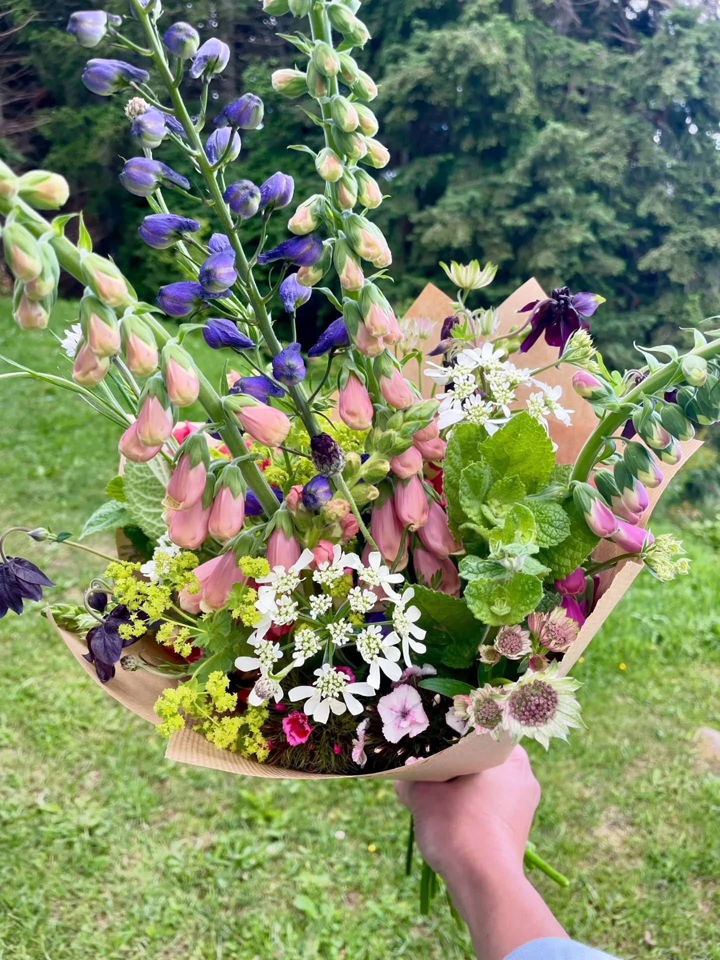 ✨ F&Ecirc;TE DES PLANTES ET DE LA FOR&Ecirc;T ✨
Ce dimanche 7 juin &agrave; Saint Germain l&rsquo;Herm (&agrave; la salle polyvalente) retrouvez-moi ainsi que plein d&rsquo;autres producteurs &agrave; partir de 10h pour faire le plein de bonnes et be