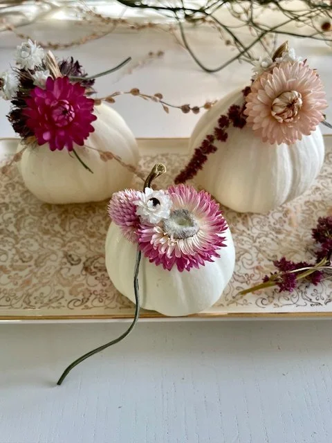Assortiment de mini courges décoratives