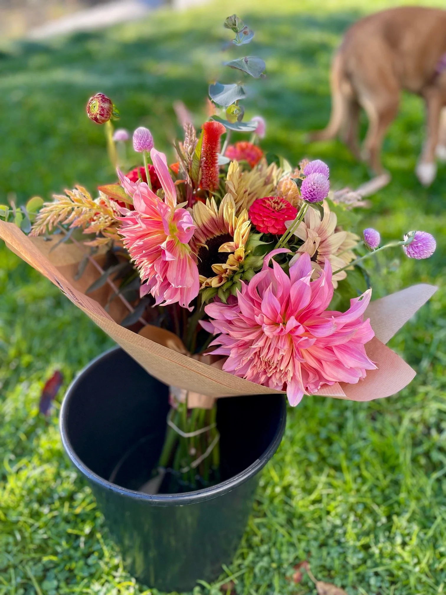 Bouquet de saison.jpg