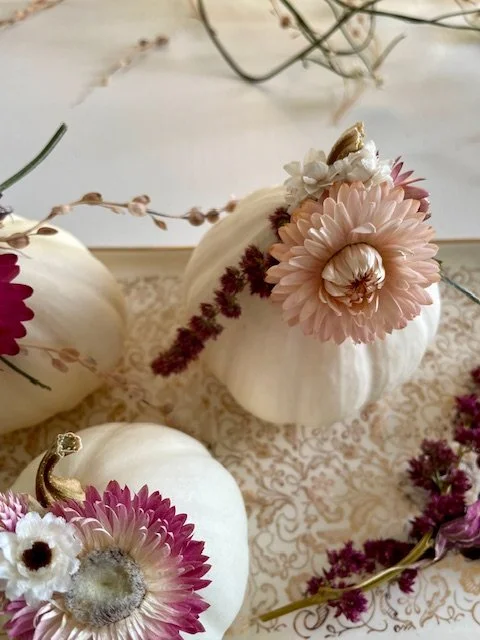 Mini courge et fleurs séchées
