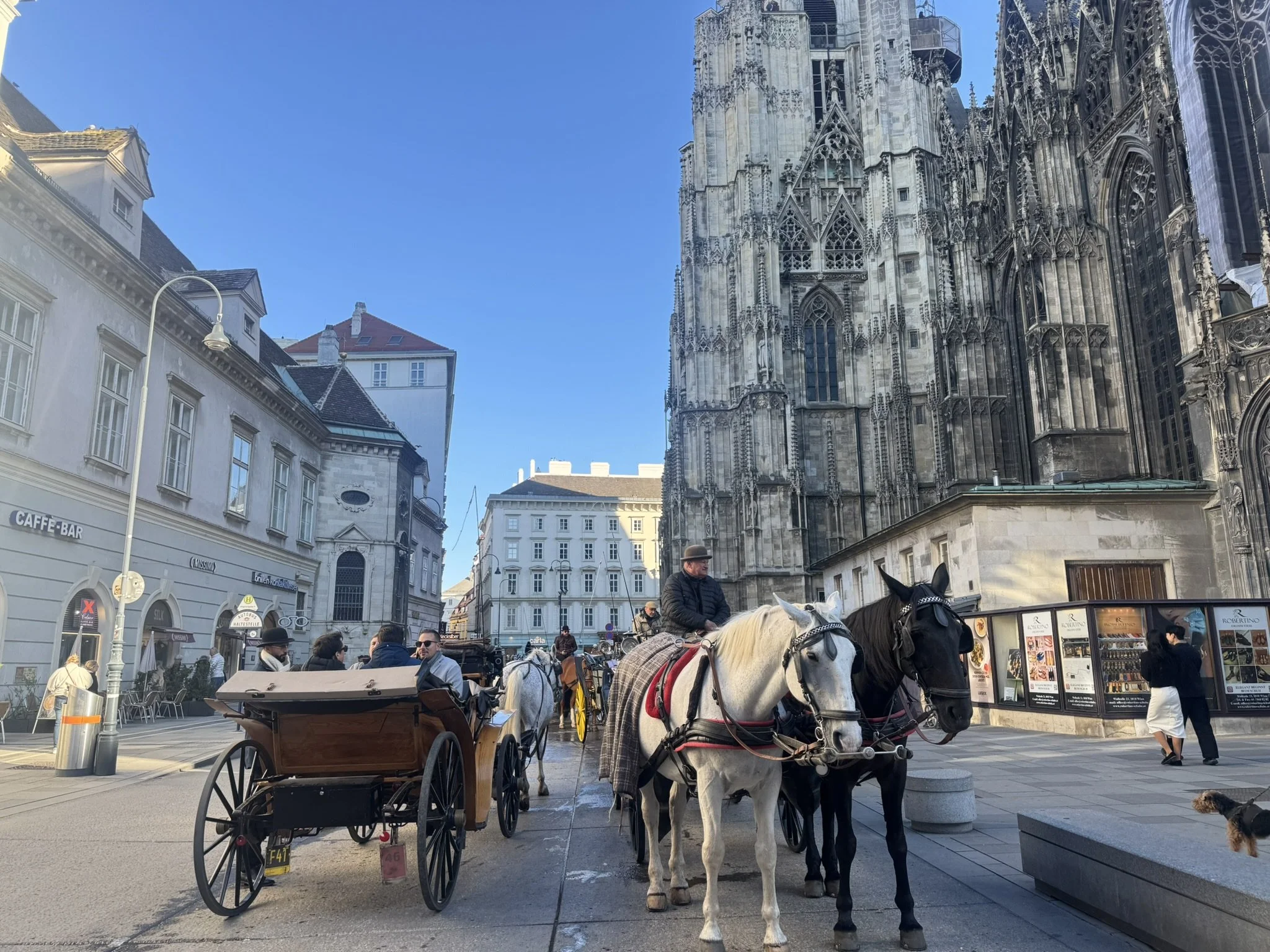 The Cutiest Time of Childhood : Vienna!