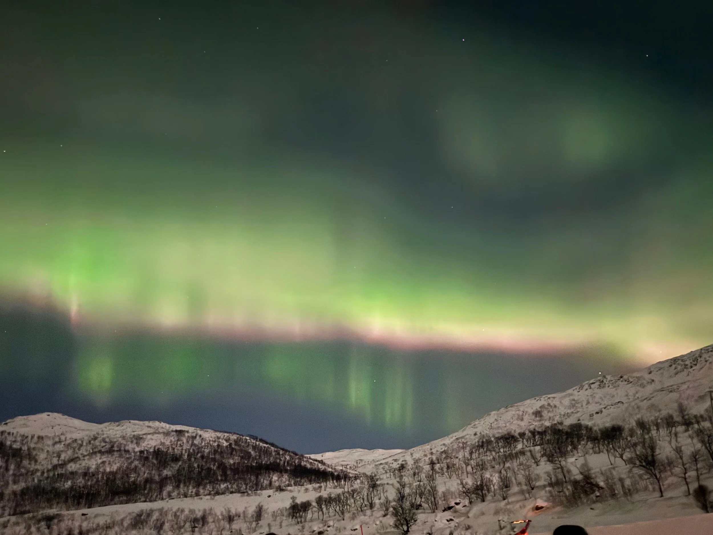 Sky Gardens: The Northern Lights