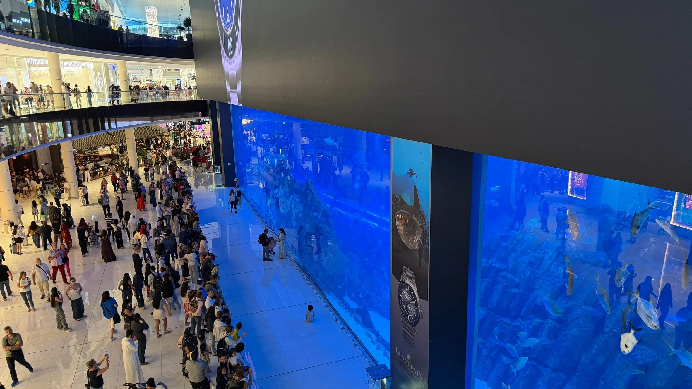 Money Talks: Meet Dubai!