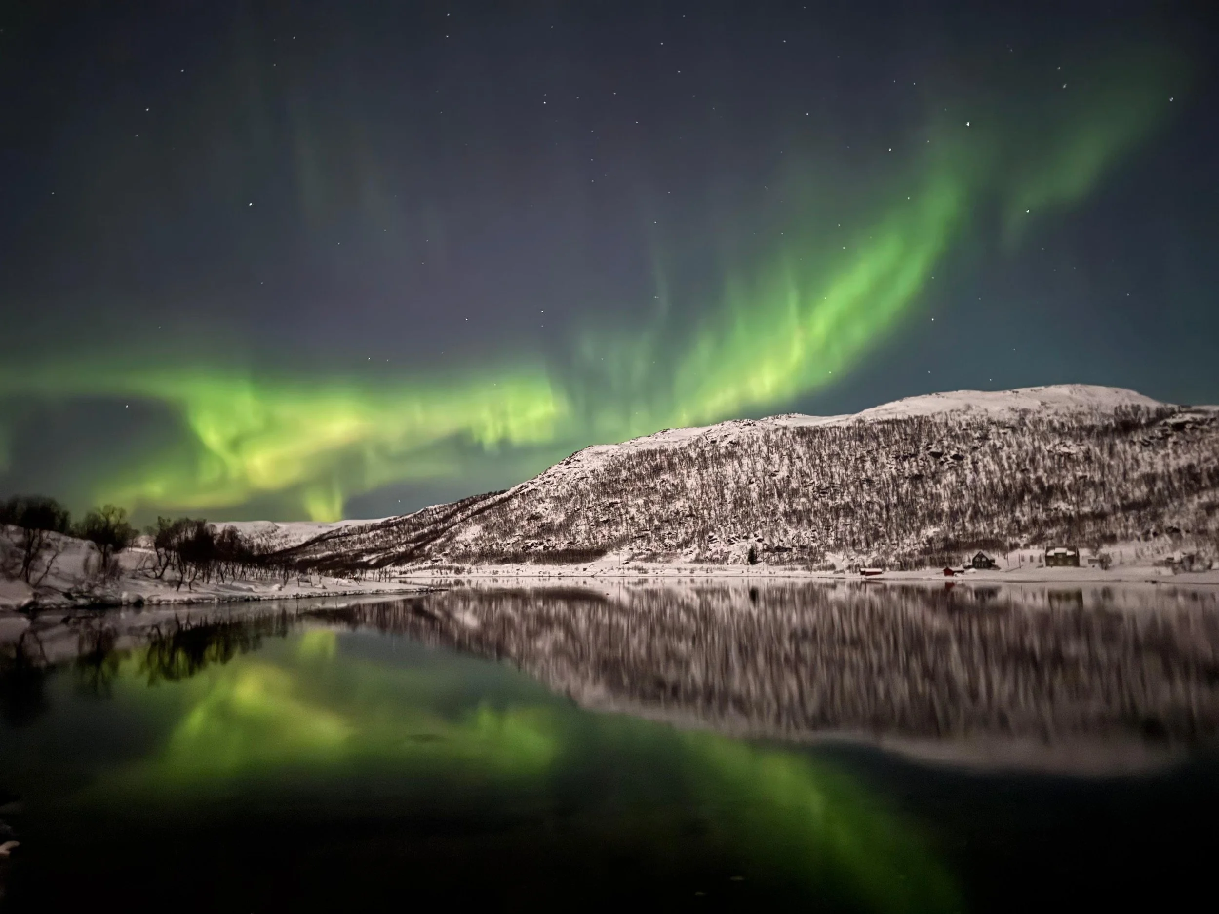 Northern Lights