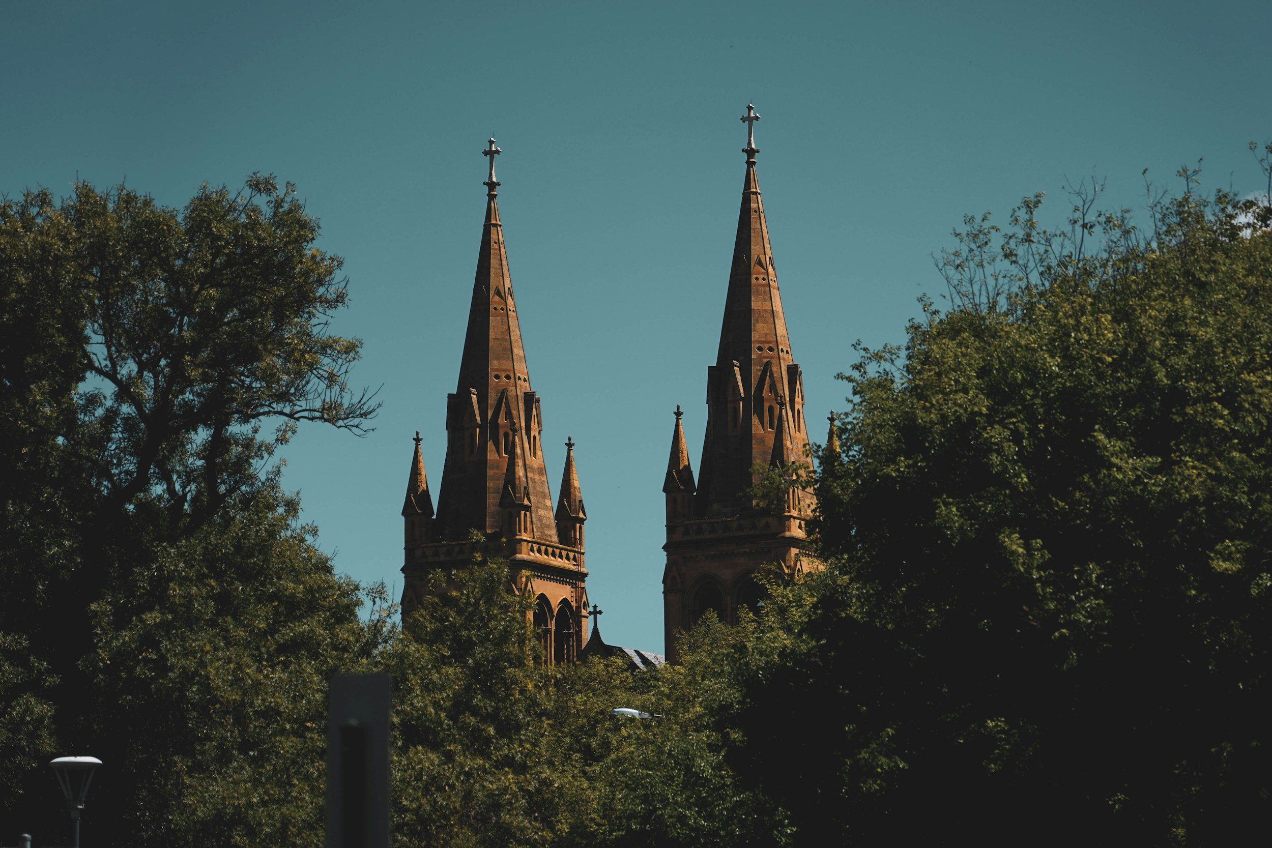 Adelaide Unlocked: A Kenyan’s Guide to Living the Good Life in SA