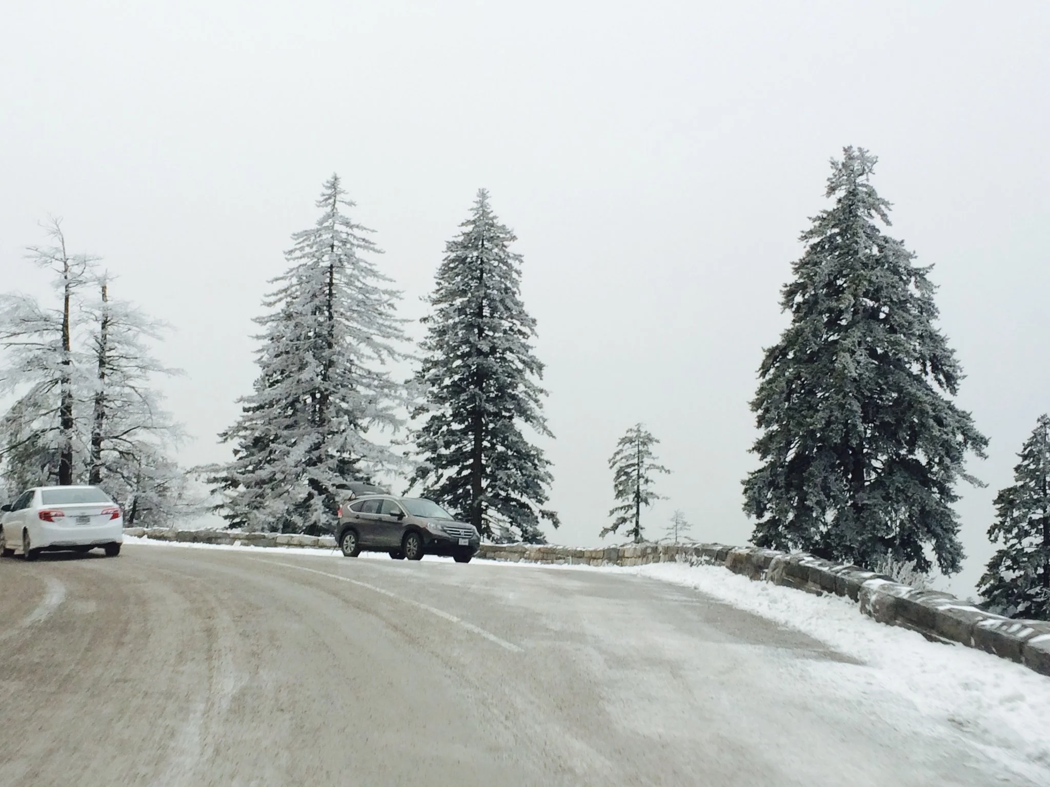 The Power of Gratitude: Turning Obstacles Into Opportunities