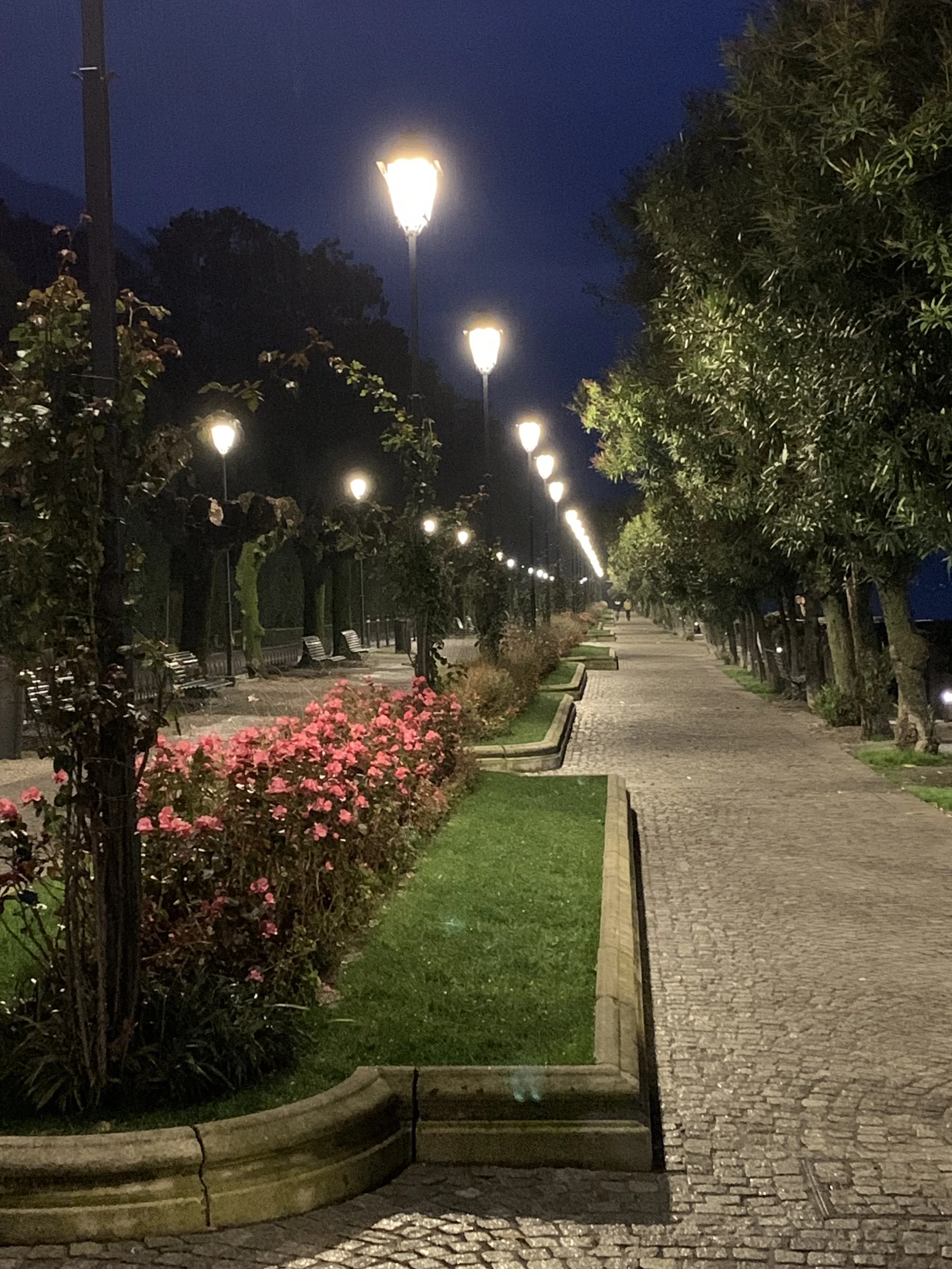 Failure Isn’t The Problem - Fear of Failure Is