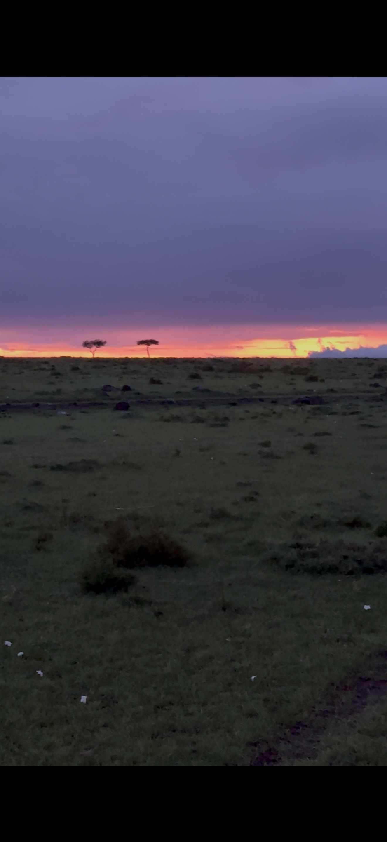 The Silent Frustration Series: Episode 2. You Keep Waiting for Motivation…But Discipline Still Feels Out of Reach