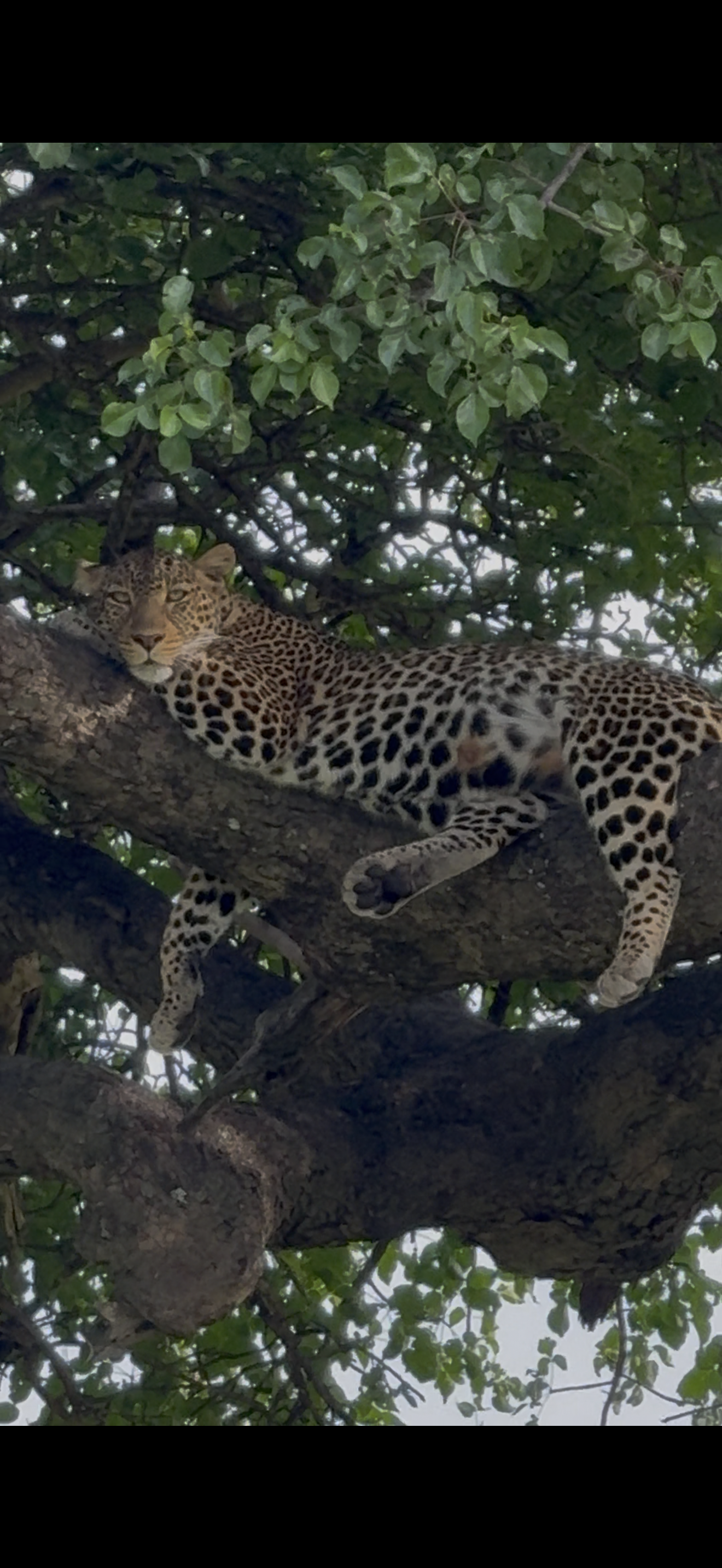 The Silent Frustration Series:  Episode 3.  You Didn’t Lose Motivation - You Lost Meaning