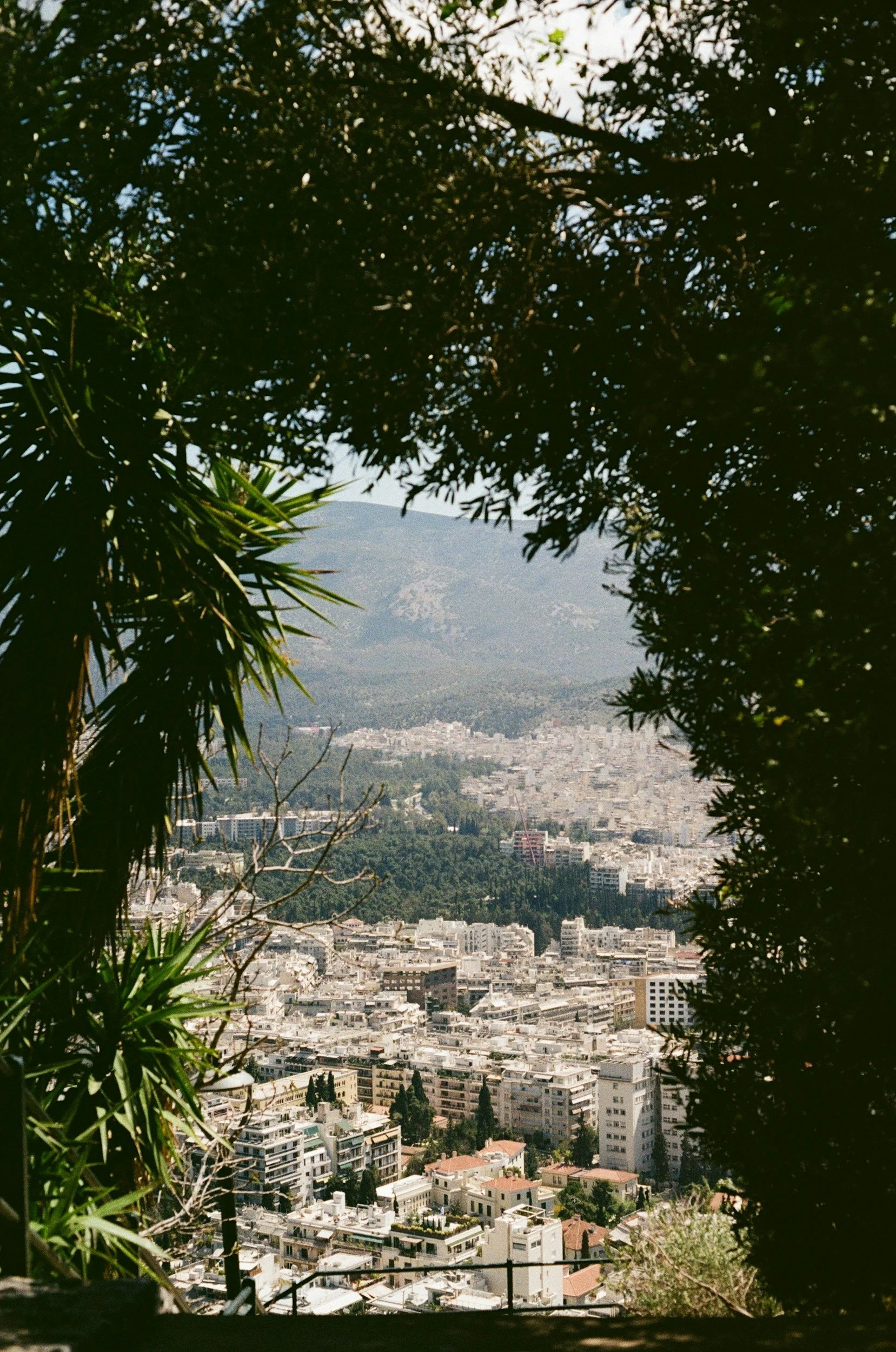 a view between trees of Athens from Lycabettus Hill in Kolonaki