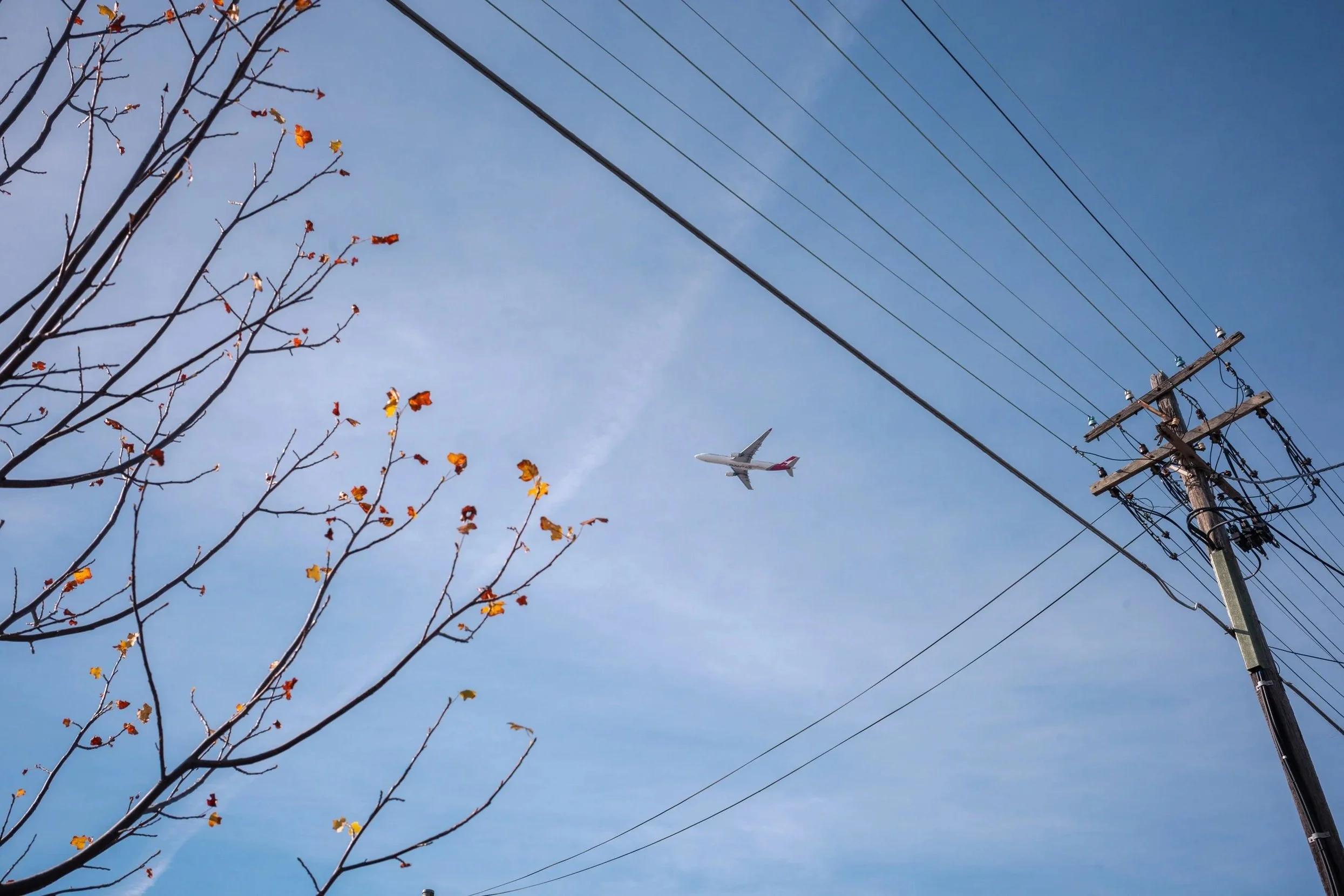 An airplane flying in a blue sky with a few scattered clouds, seen through a tree with sparse leaves and a utility pole with power lines.