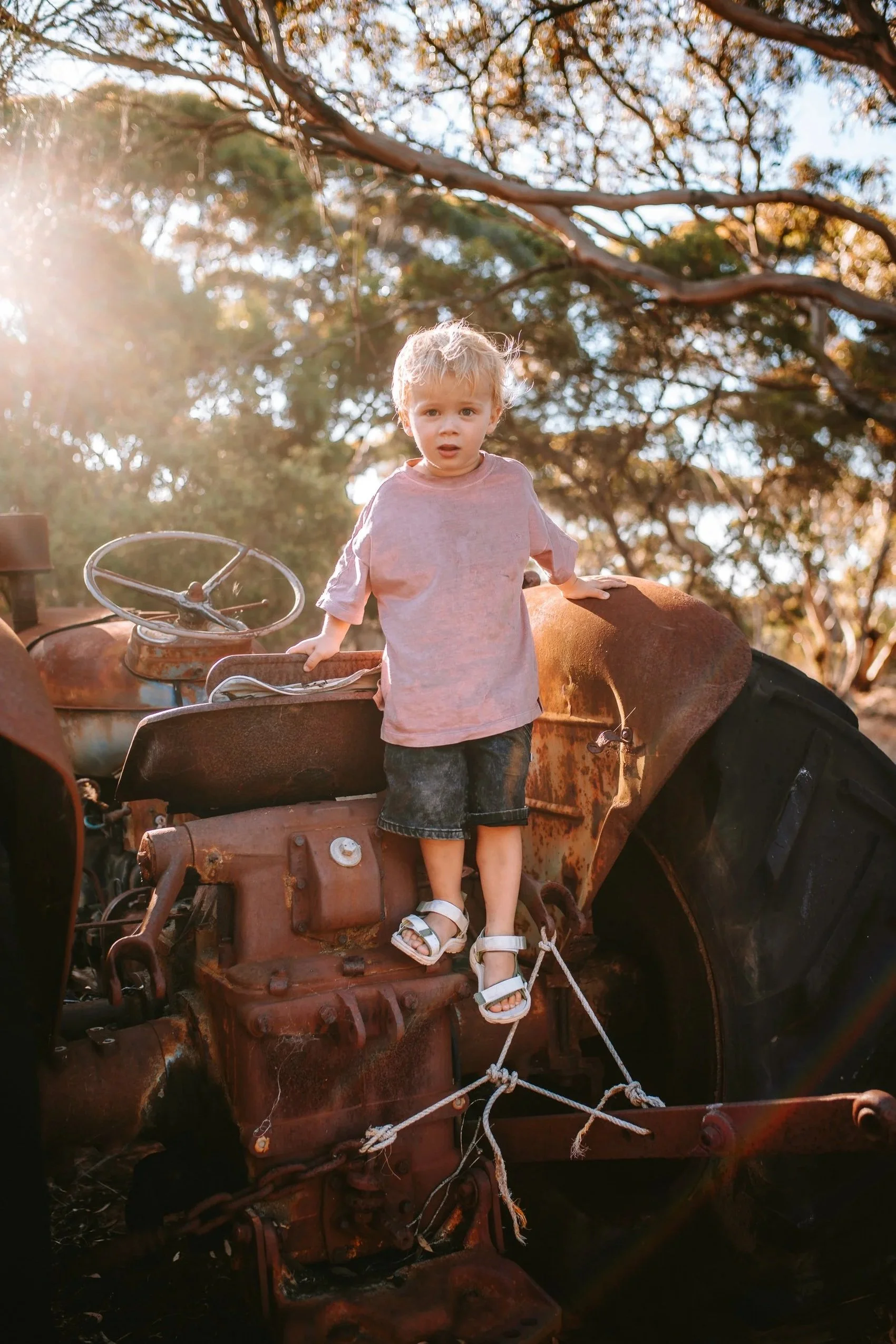 A young child in a pink shirt and denim shorts standing on a rusty old tractor with chains tied around the tractor and child, outside during sunset with trees in the background.