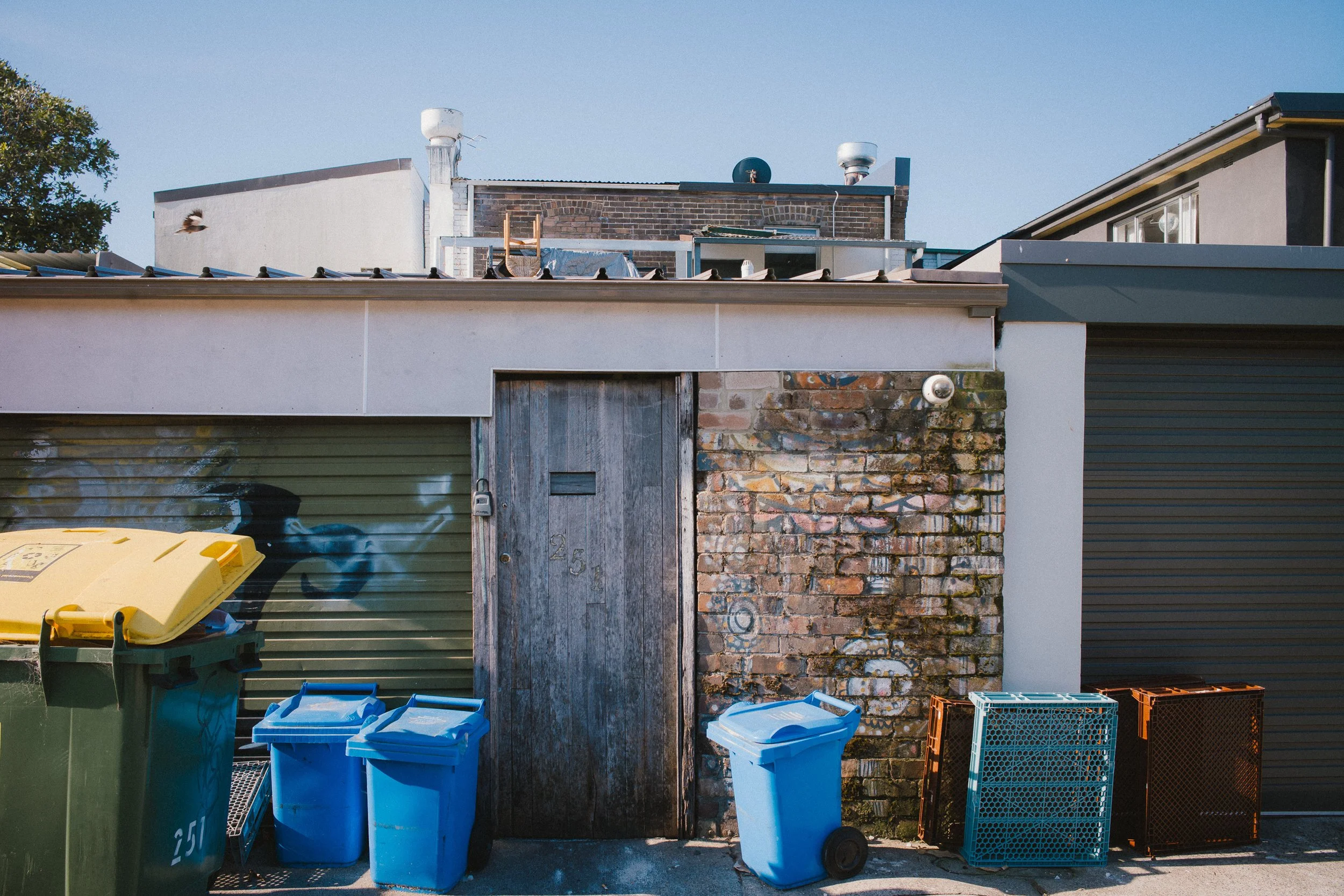 Back alley with trash bins, a weathered wooden door, brick wall, graffiti, and residential buildings in the background on a sunny day.