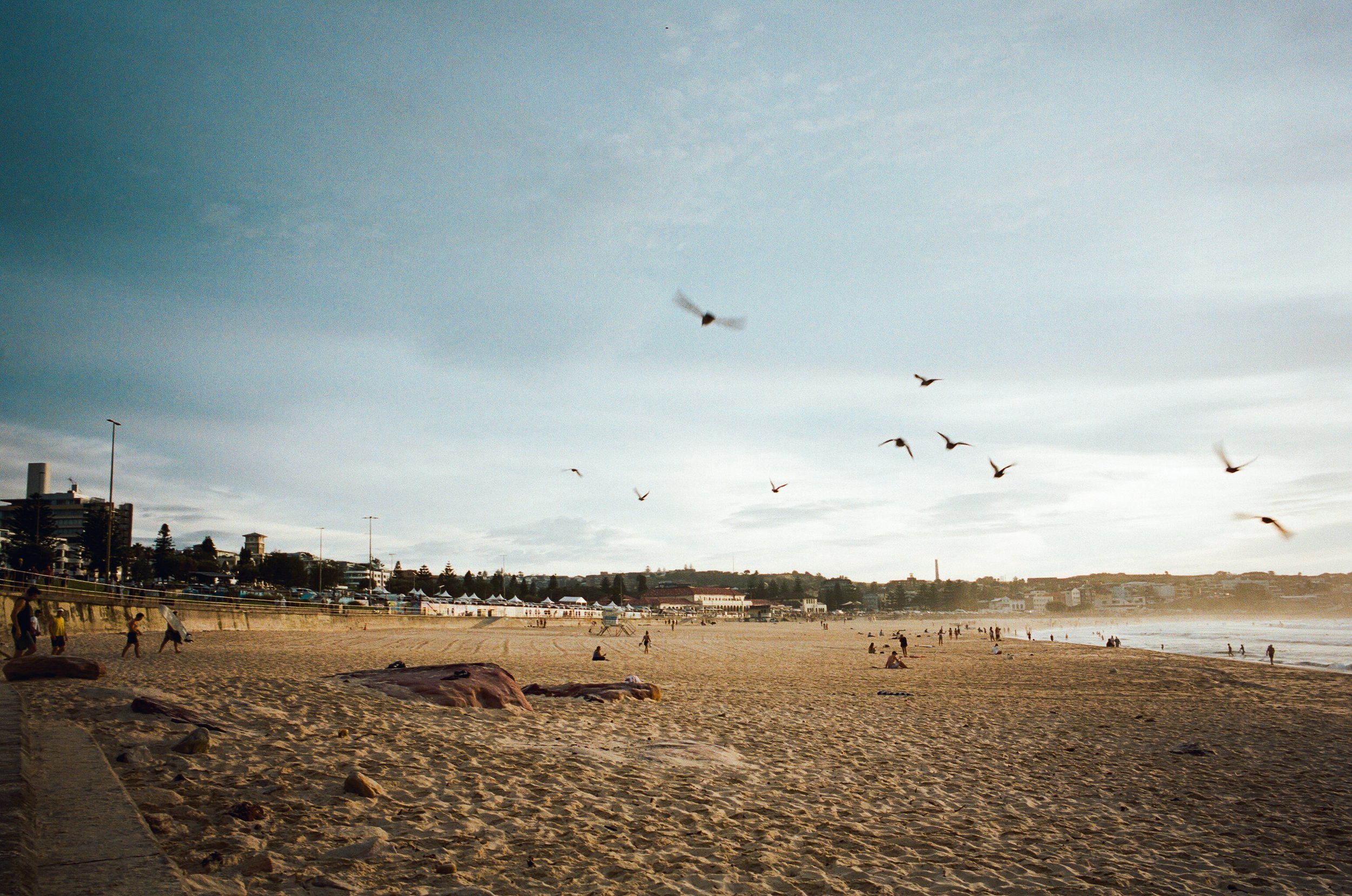 Beach scene with sand, people walking and sitting, seagulls flying in the sky, and buildings in the background under a partly cloudy sky.