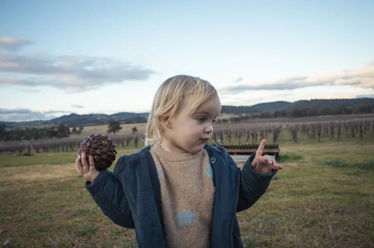 A young girl holding a large, brown, spiky fruit in one hand and pointing with her finger in an outdoor field with vineyards and hills in the background.