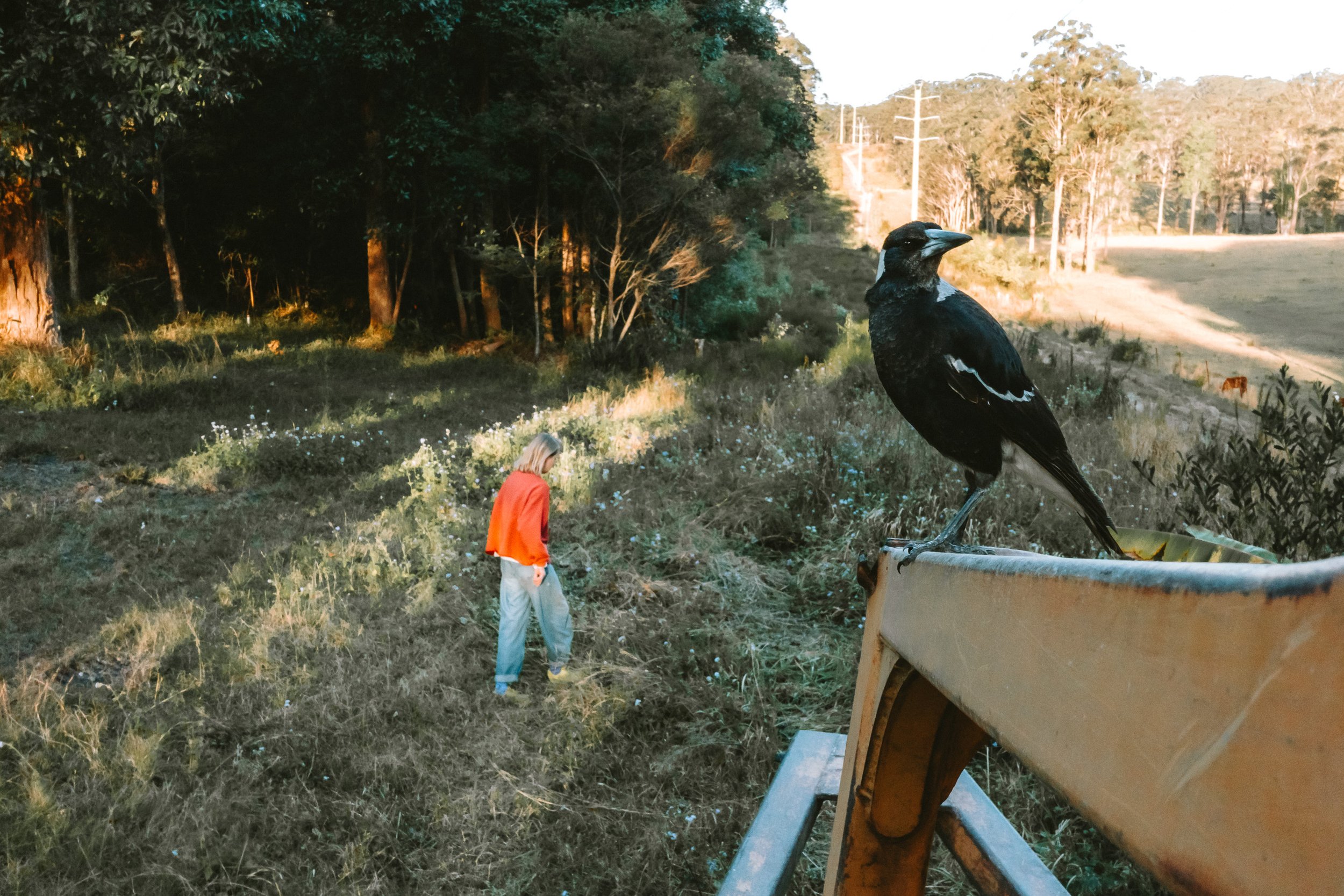A person with blonde hair wearing a red jacket and blue jeans stands in a grassy field with trees in the background. A large black bird with white markings perches on a rusty yellow metal crane arm in the foreground.