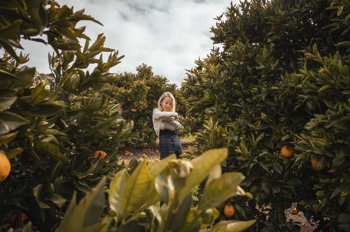 A woman standing among orange trees on an orchard, smiling and inspecting a ripe orange.