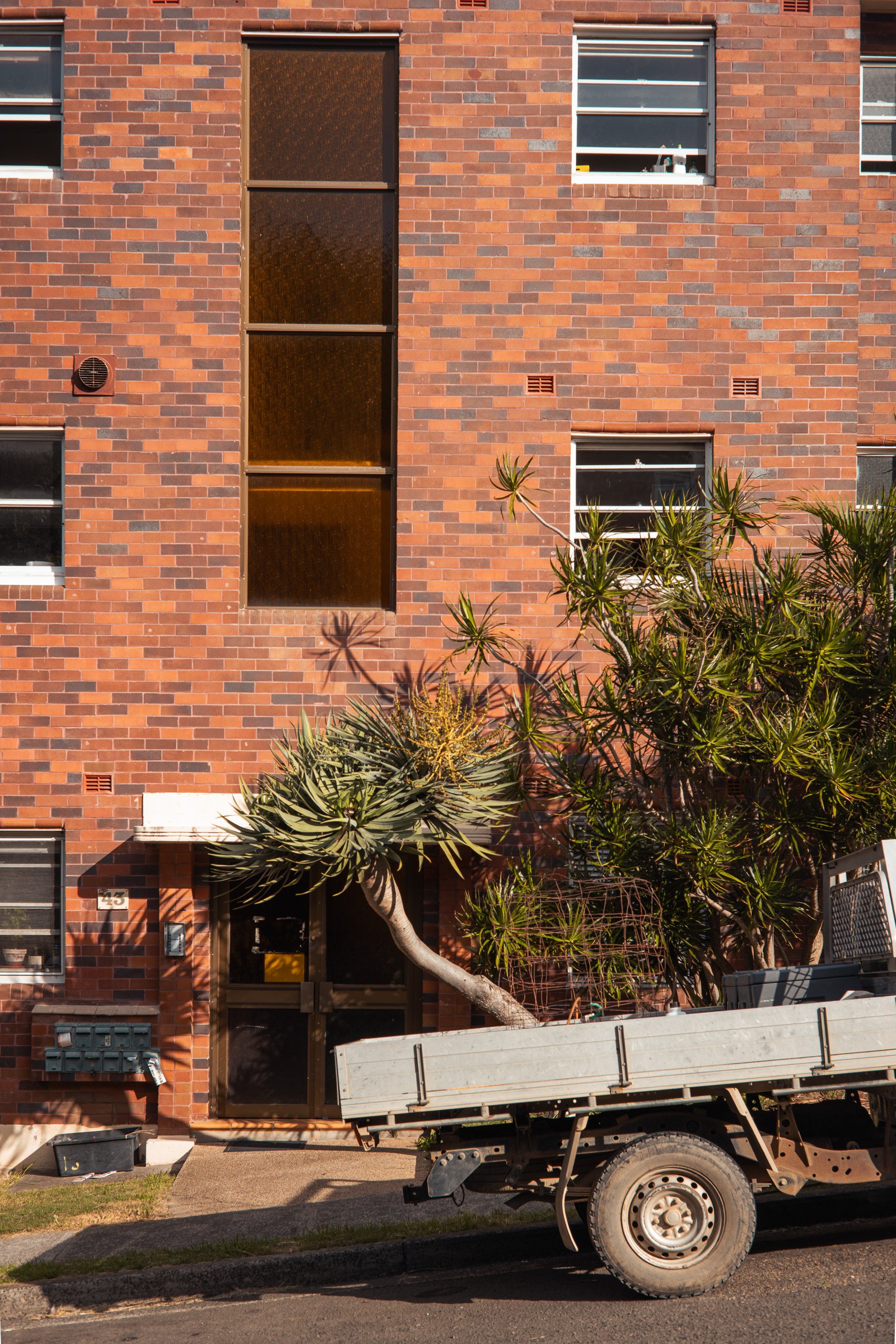 The image shows a brick apartment building with several windows, a central narrow vertical window, and a door at the entrance. There is a large, angled succulent plant and other greenery near the entrance. A utility truck with an open flatbed is park