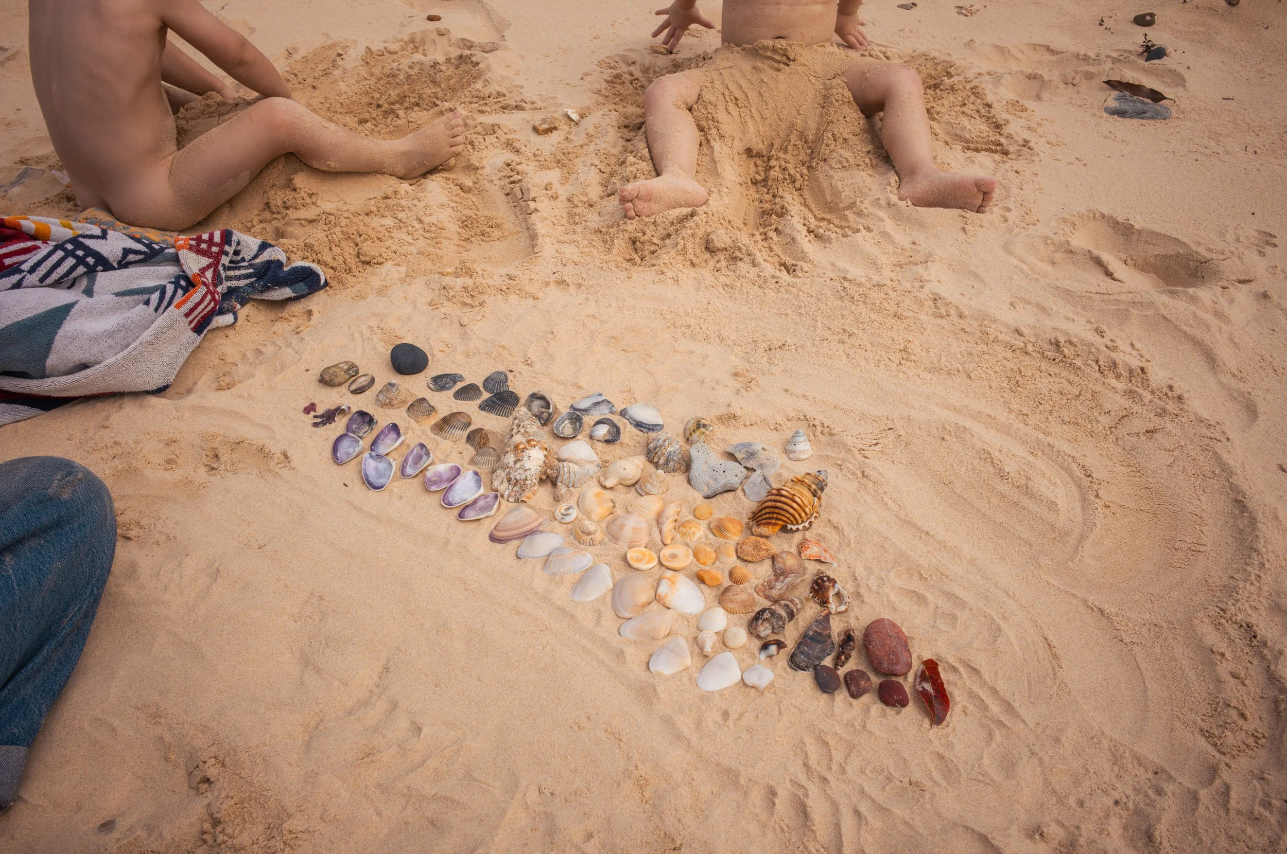 Children sitting on sand at the beach with a collection of various seashells arranged in a line.