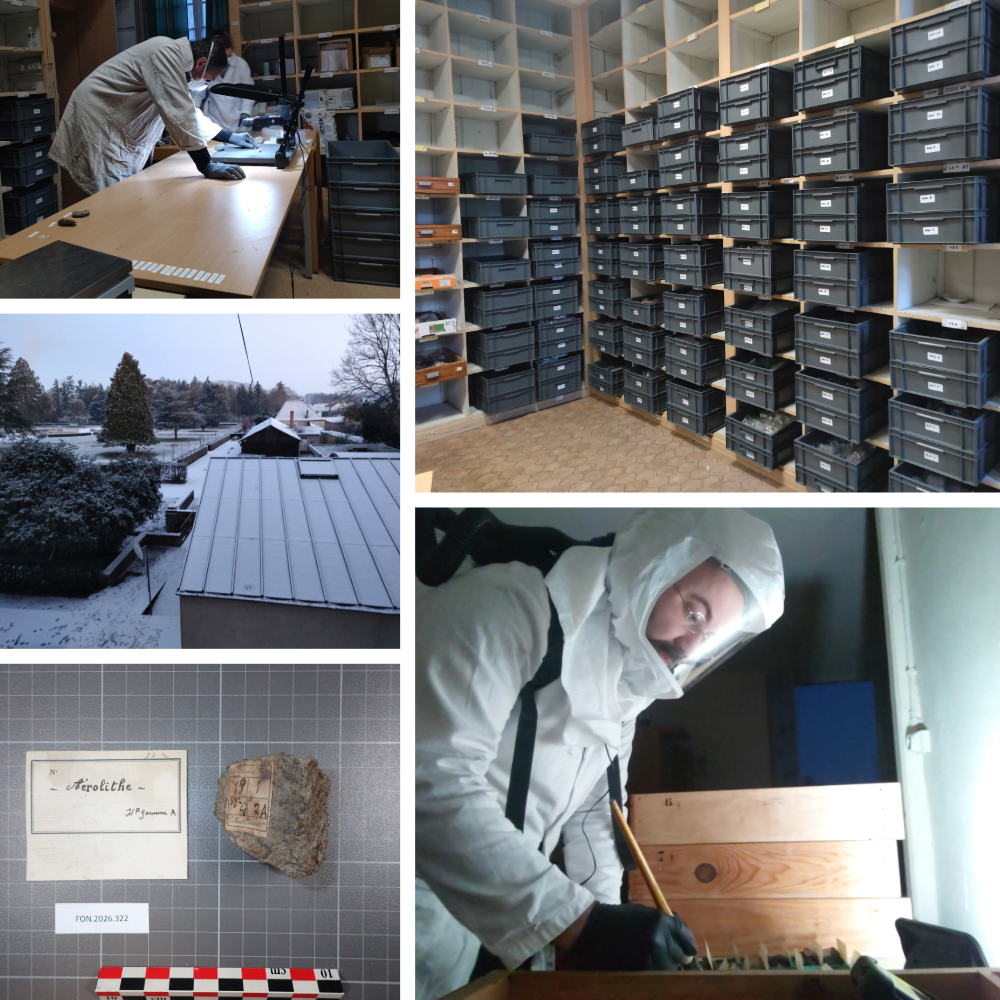 «&nbsp;200 cartons, 1000 sépultures, un chantier de collection anthropologiques pour le SRA des Hauts de France&nbsp;»