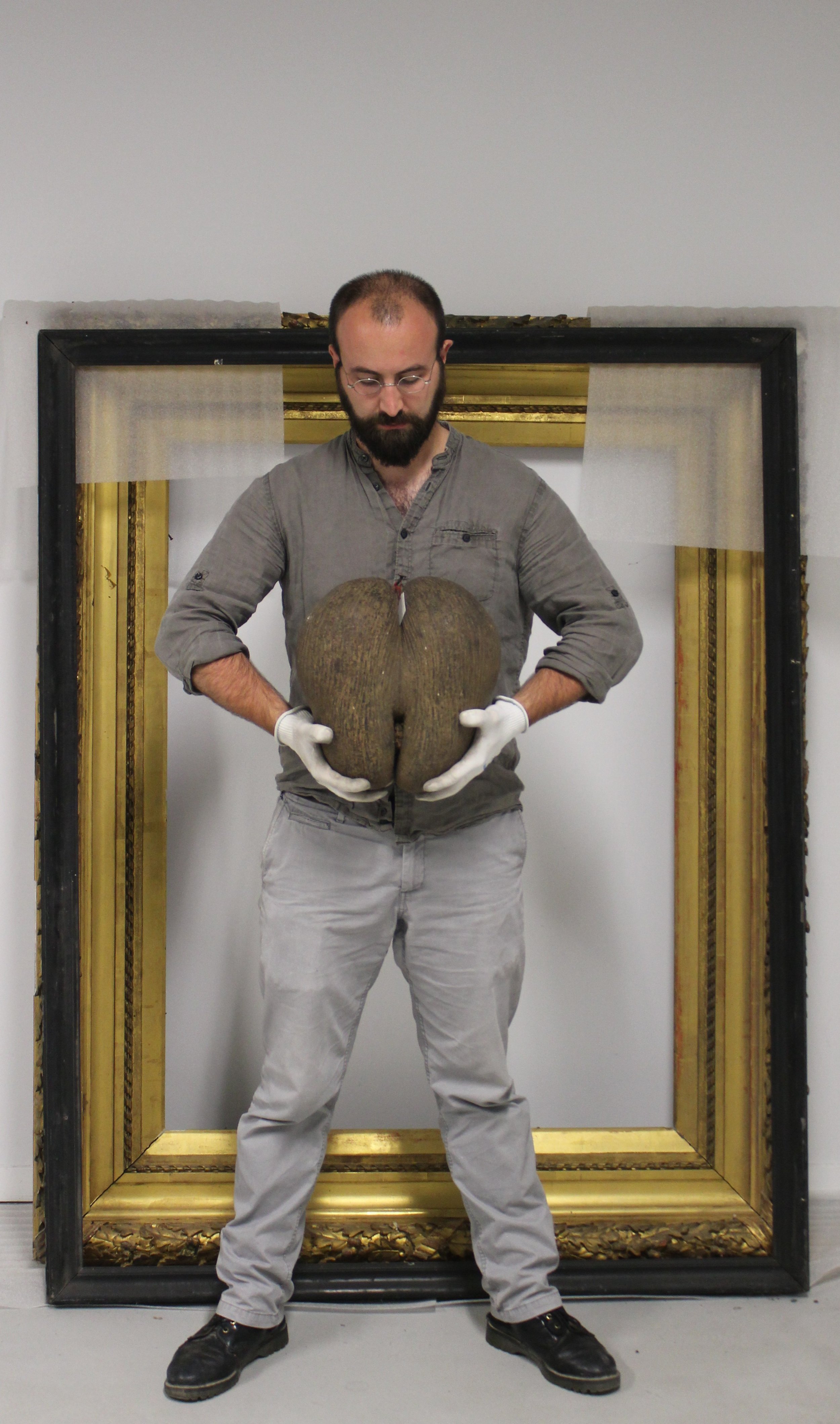 hbconservation.com&nbsp;fête sa première année 🥳 et HBconservation ses... 7ans&nbsp;!